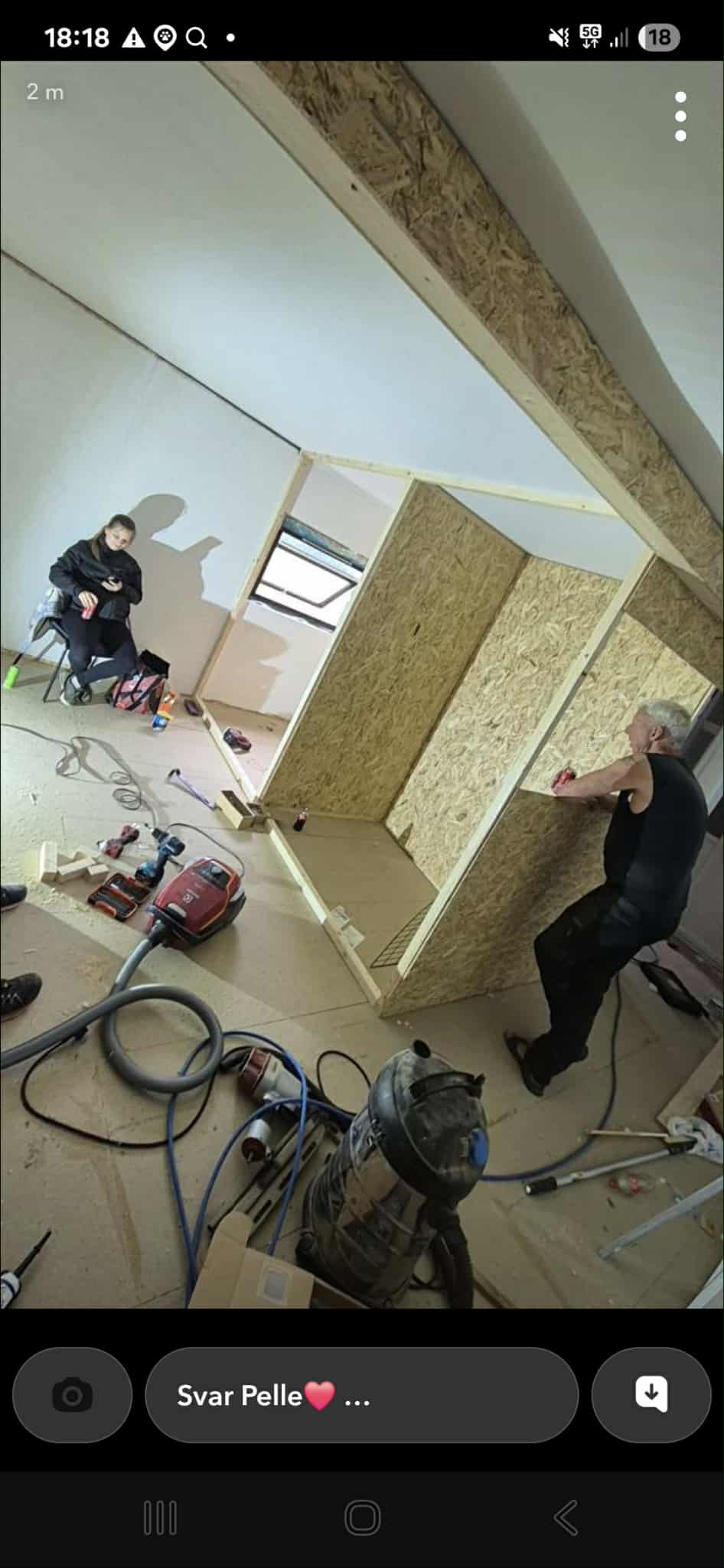 Omplasseringshjelpen for katter's image