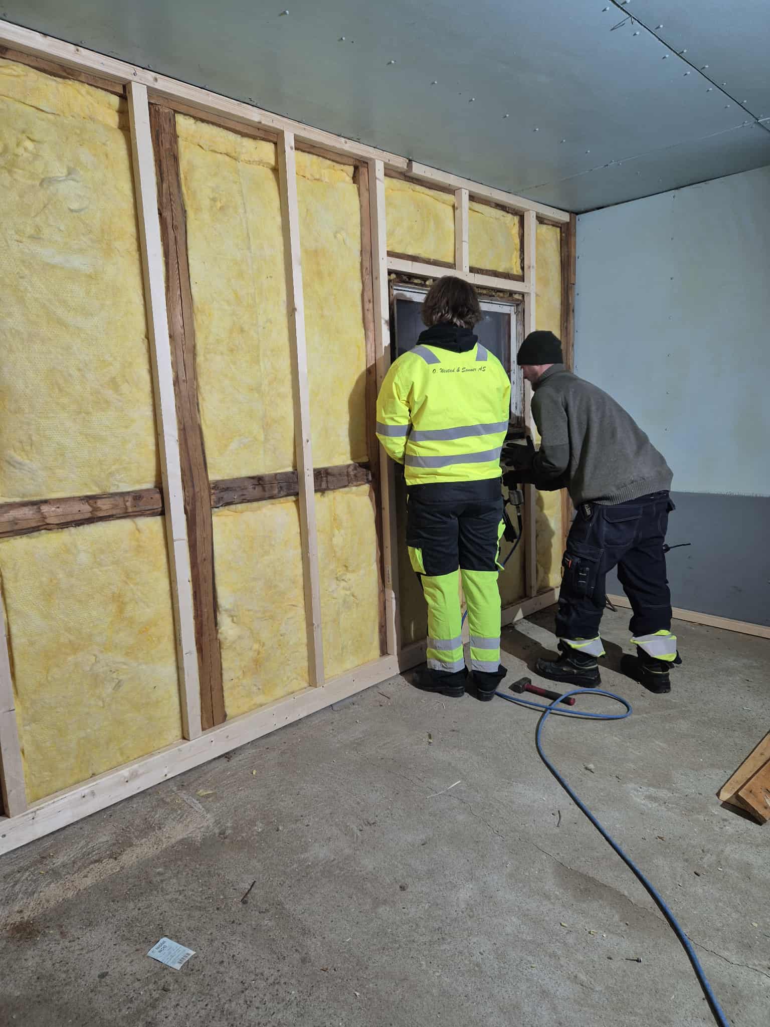 Omplasseringshjelpen for katter's image