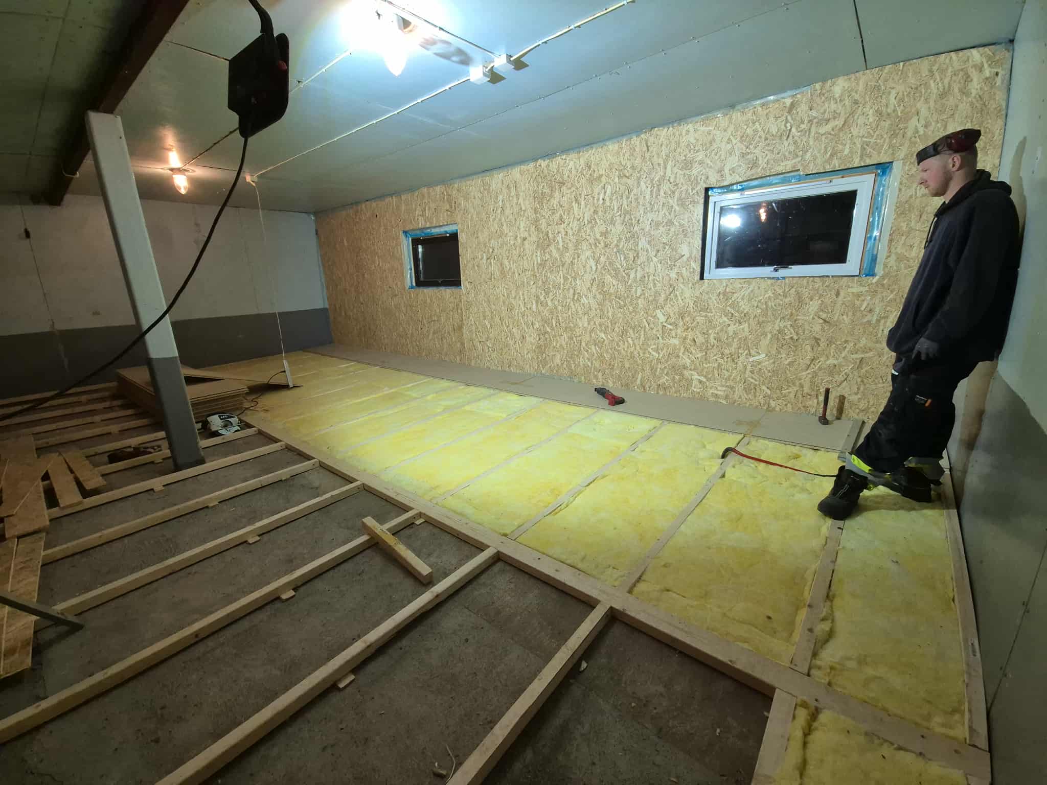 Omplasseringshjelpen for katter's image