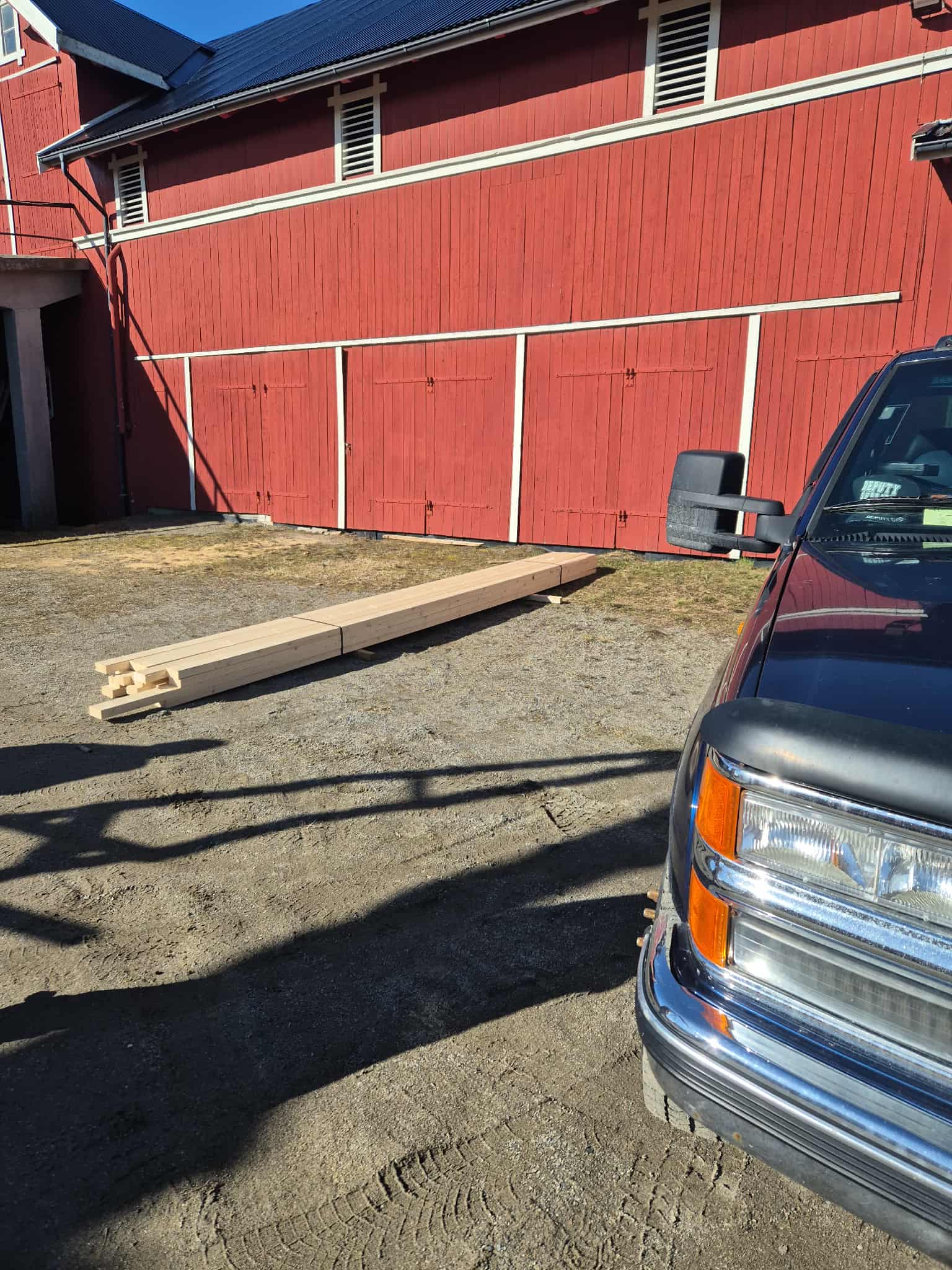 Omplasseringshjelpen for katter's image