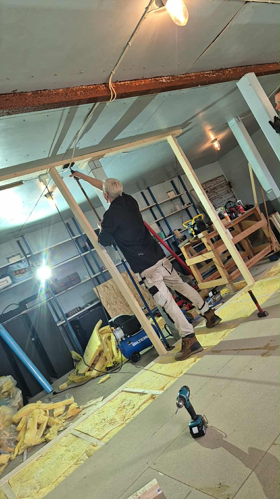 Omplasseringshjelpen for katter's image