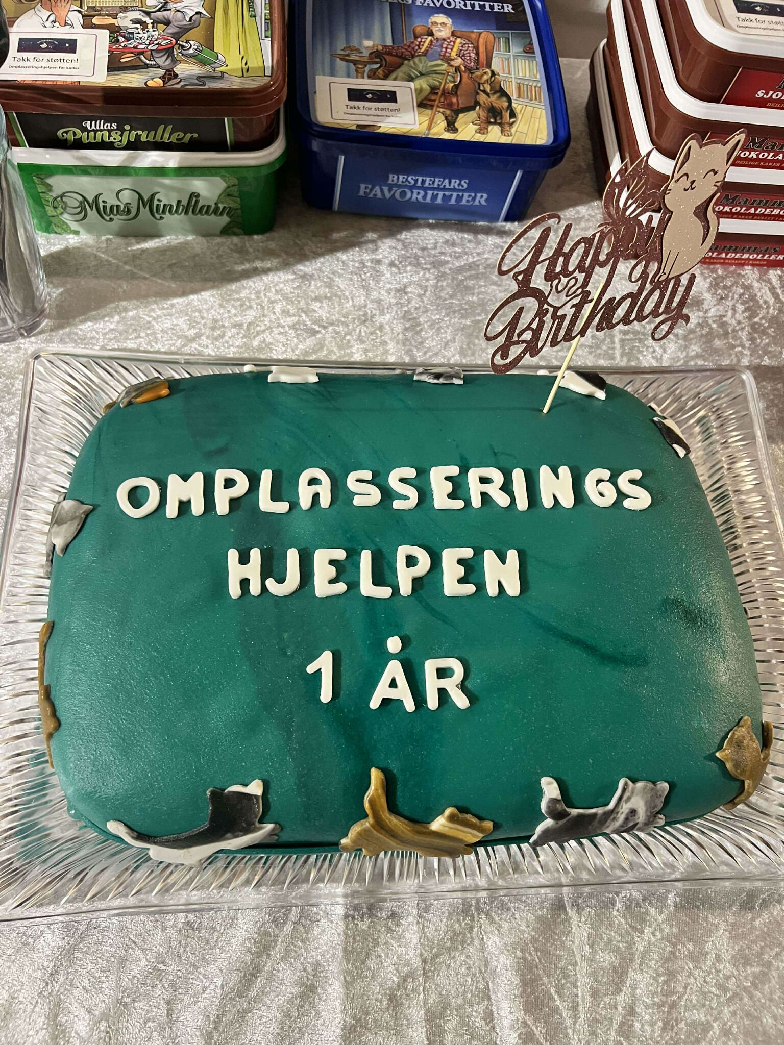 Omplasseringshjelpen for katter's image