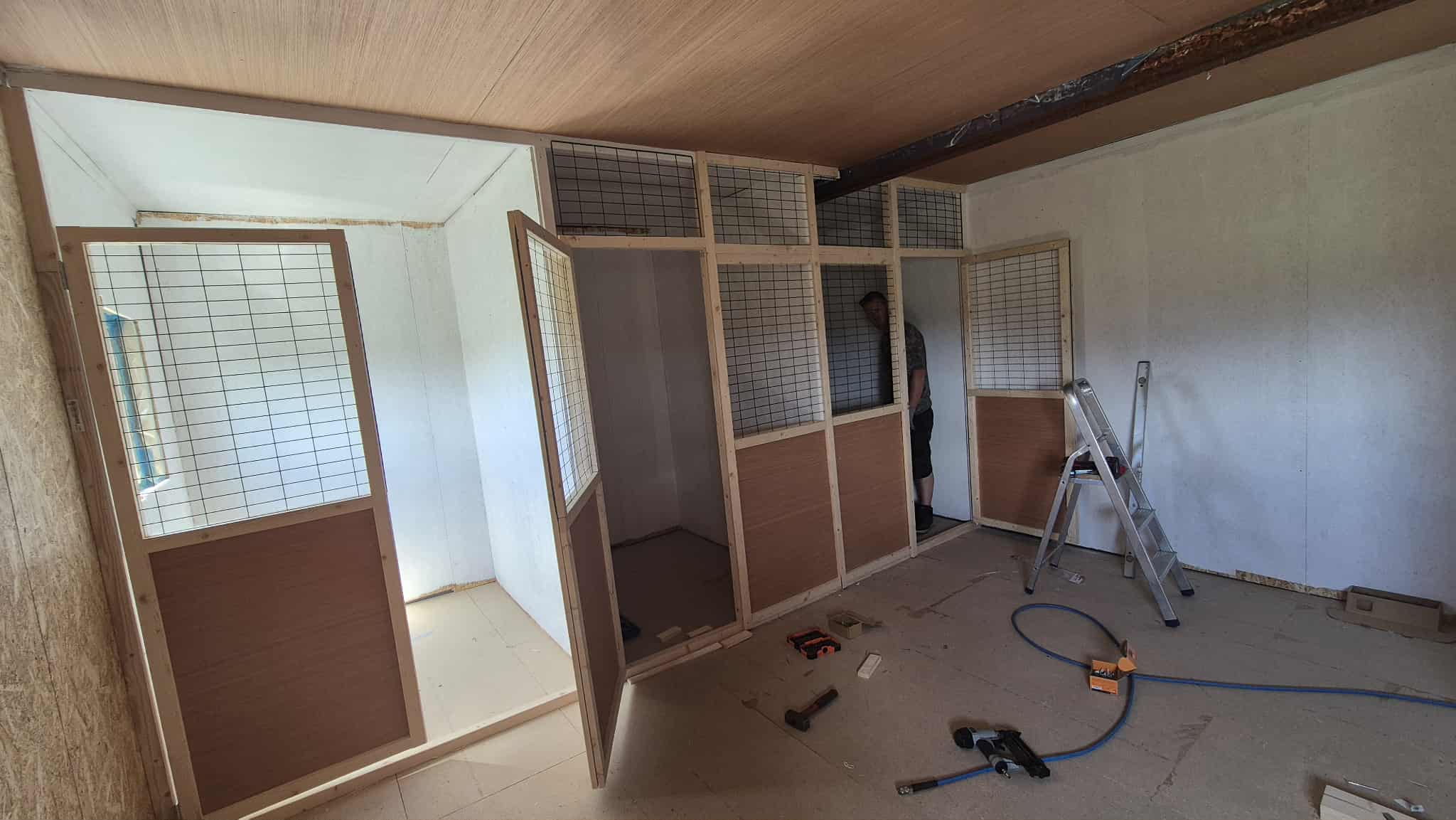 Omplasseringshjelpen for katter's image