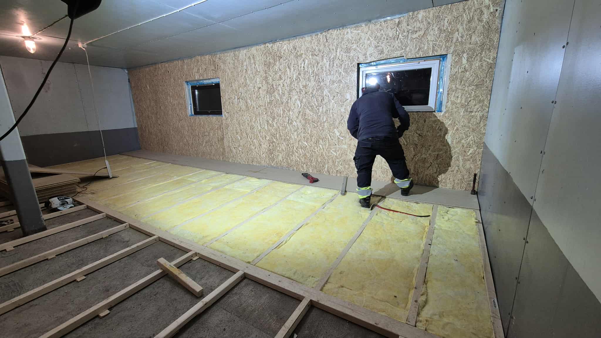 Omplasseringshjelpen for katter's image