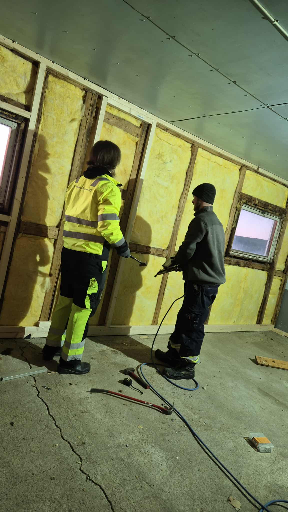 Omplasseringshjelpen for katter's image