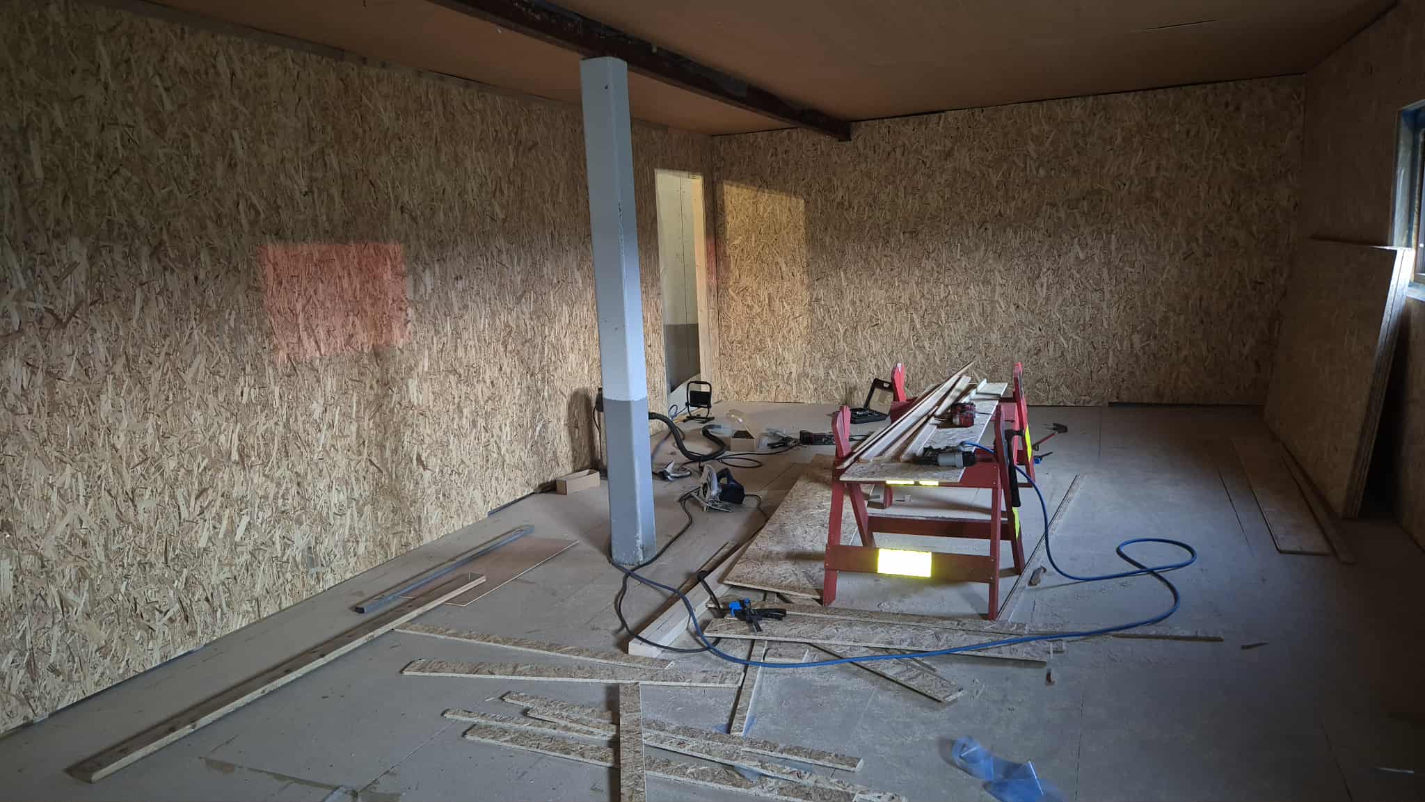 Omplasseringshjelpen for katter's image