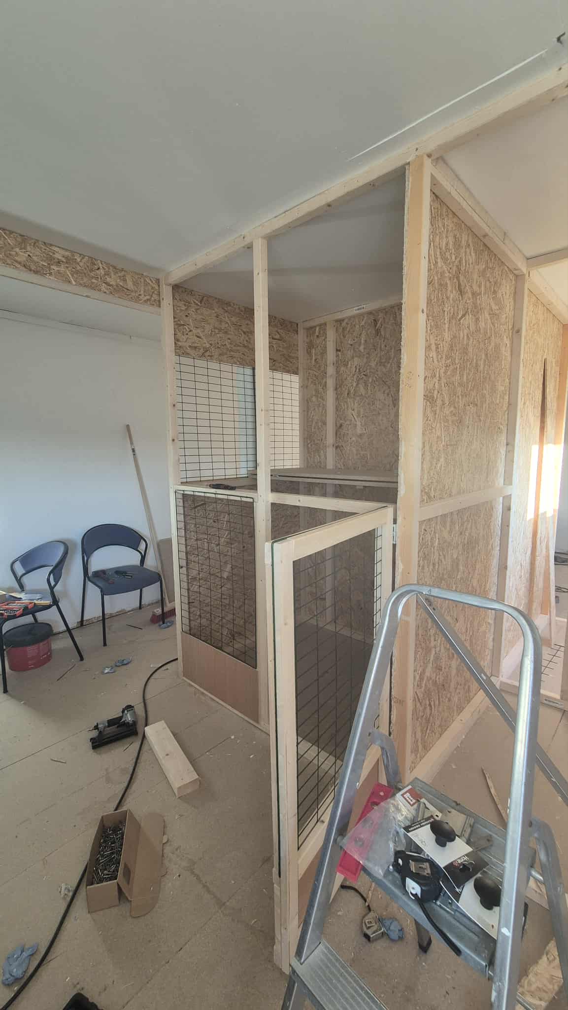 Omplasseringshjelpen for katter's image