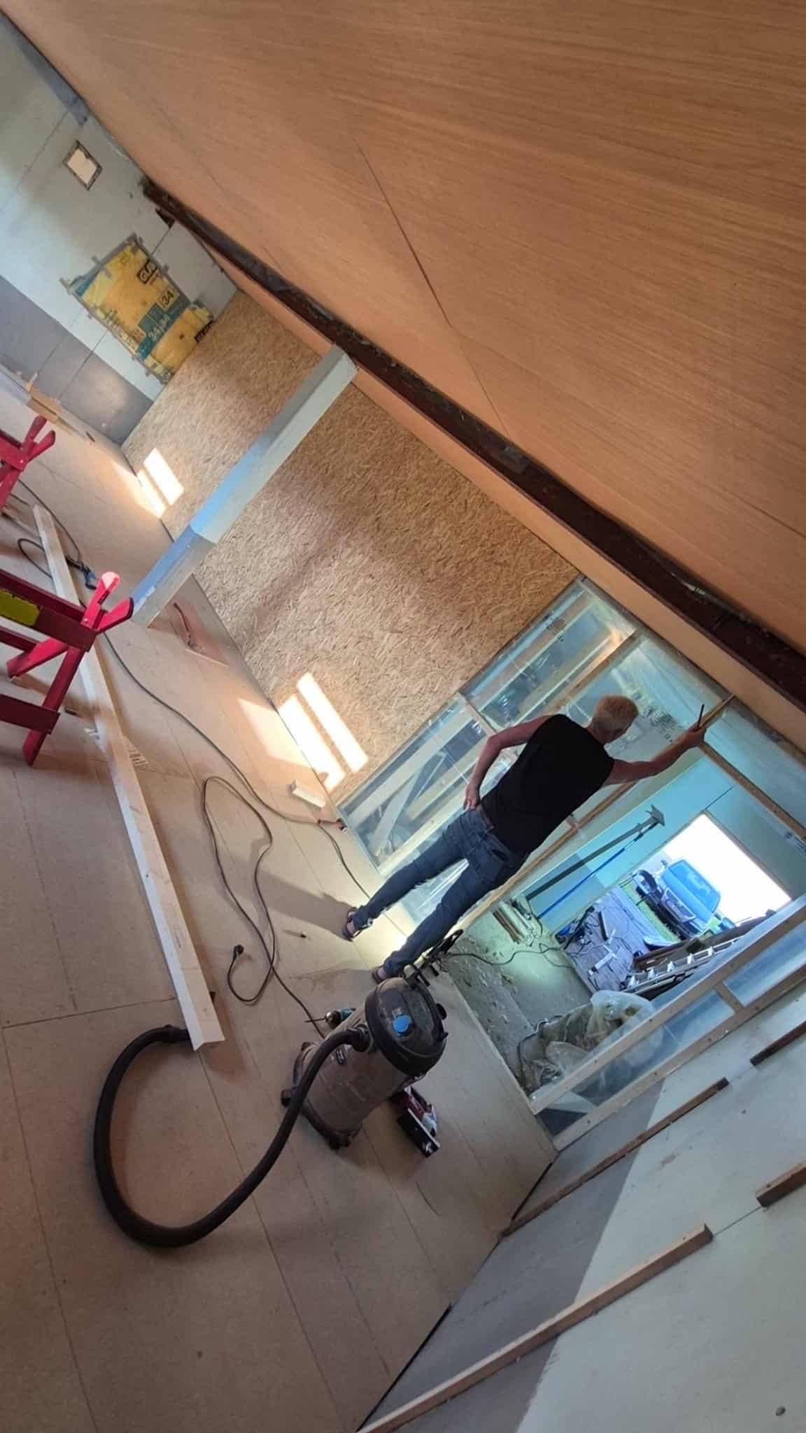 Omplasseringshjelpen for katter's image