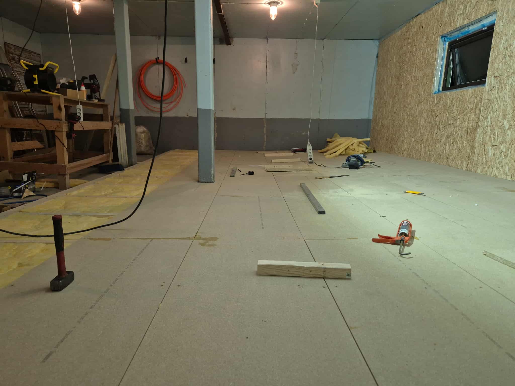 Omplasseringshjelpen for katter's image