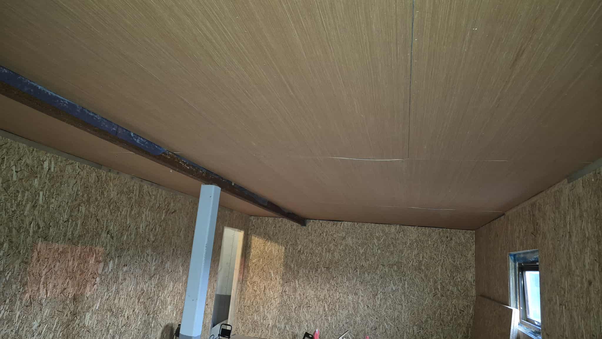 Omplasseringshjelpen for katter's image