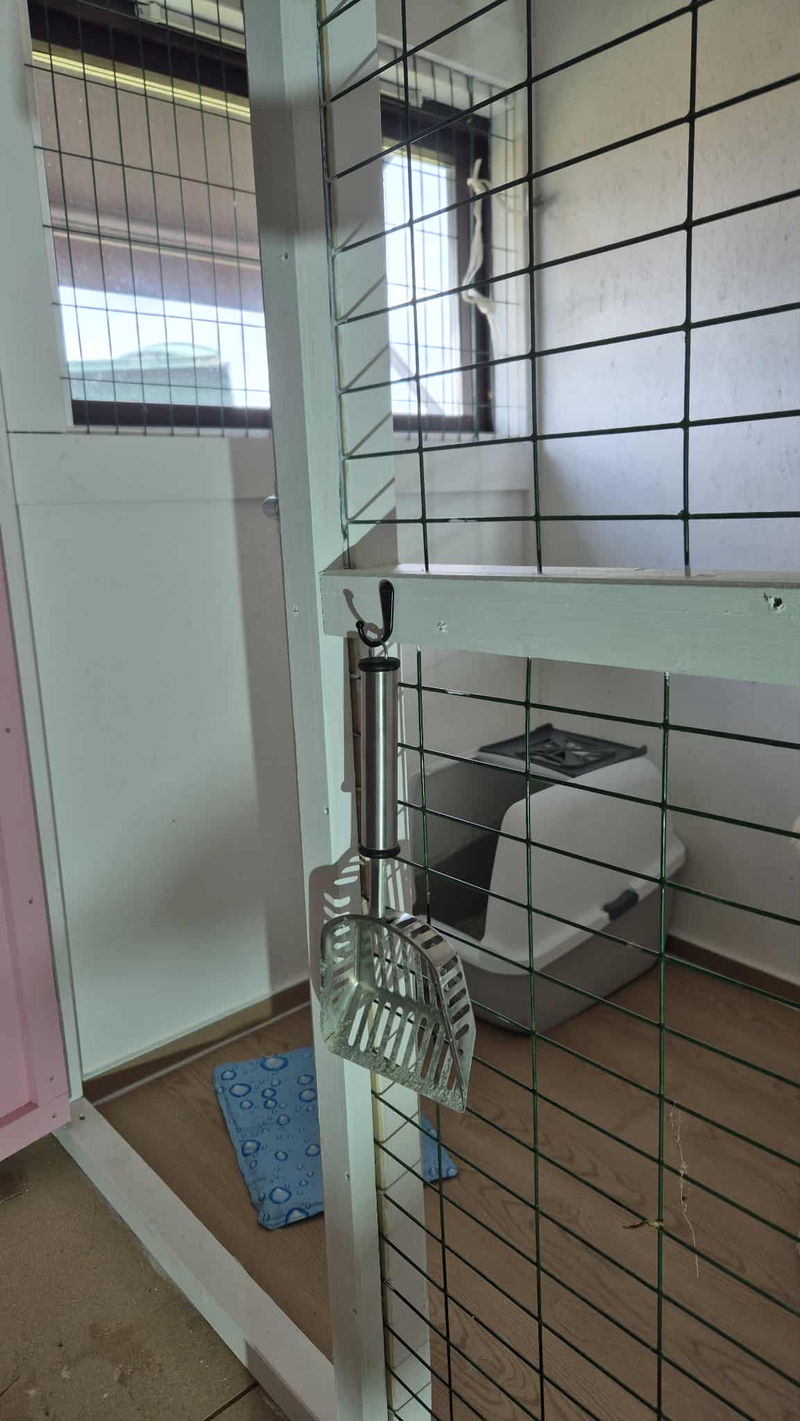 Omplasseringshjelpen for katter's image