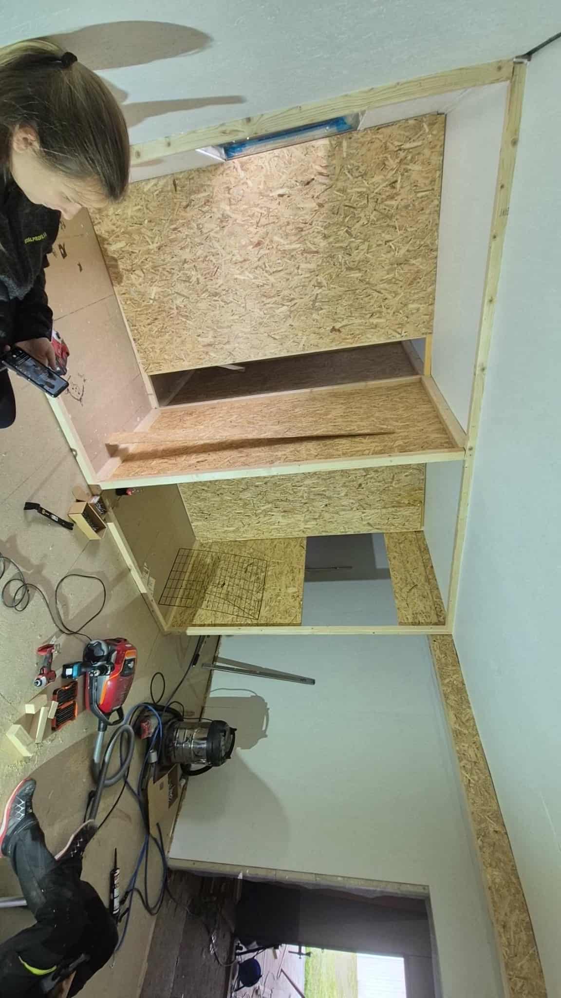 Omplasseringshjelpen for katter's image