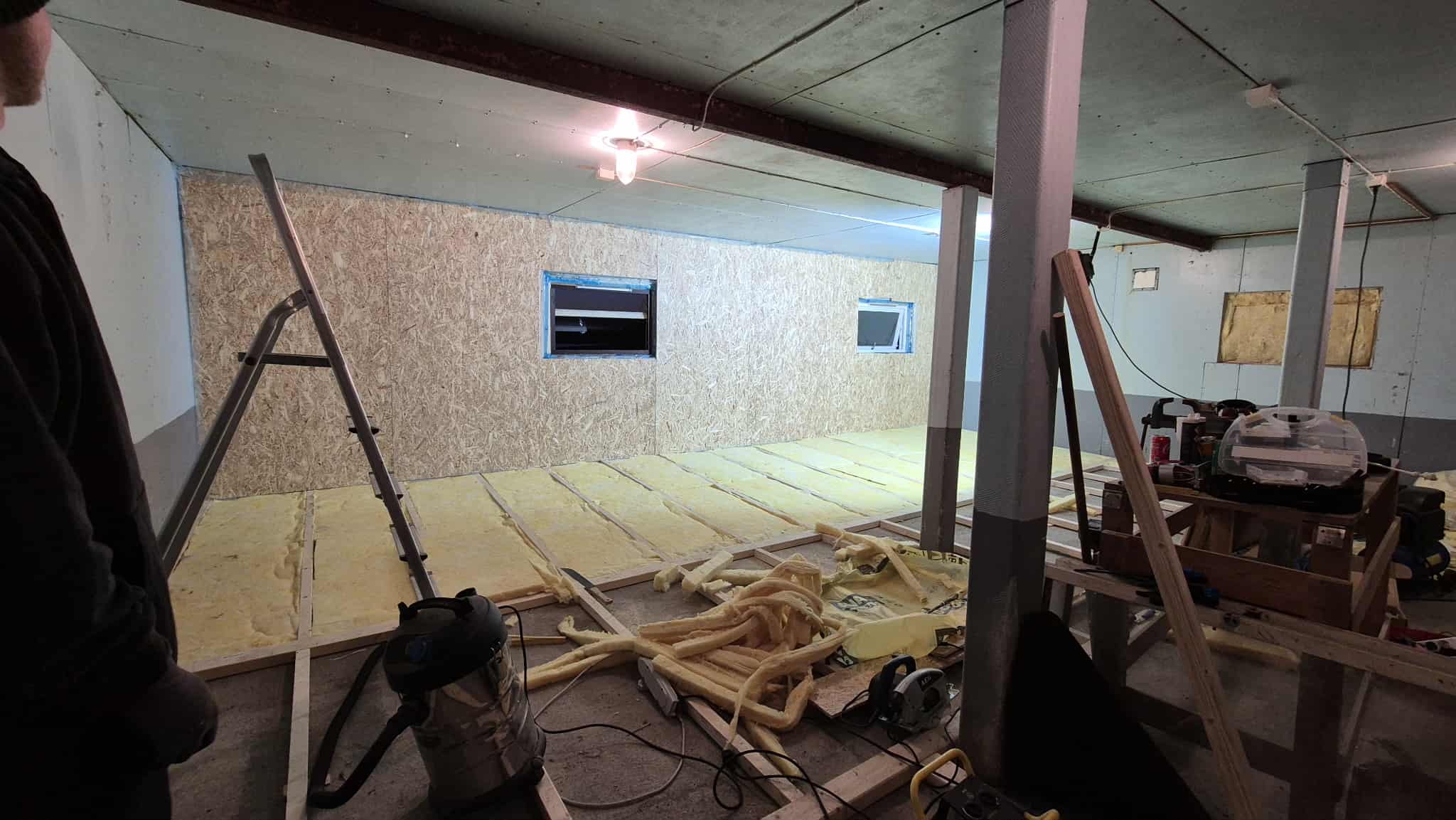 Omplasseringshjelpen for katter's image