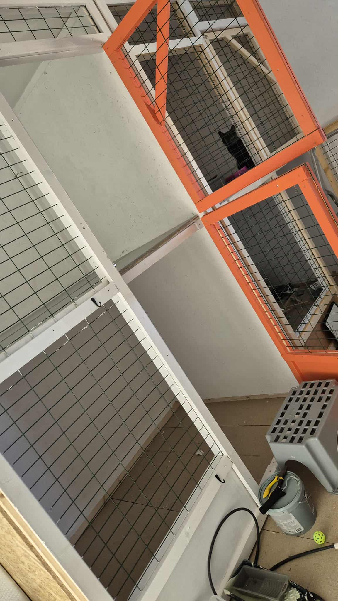 Omplasseringshjelpen for katter's image