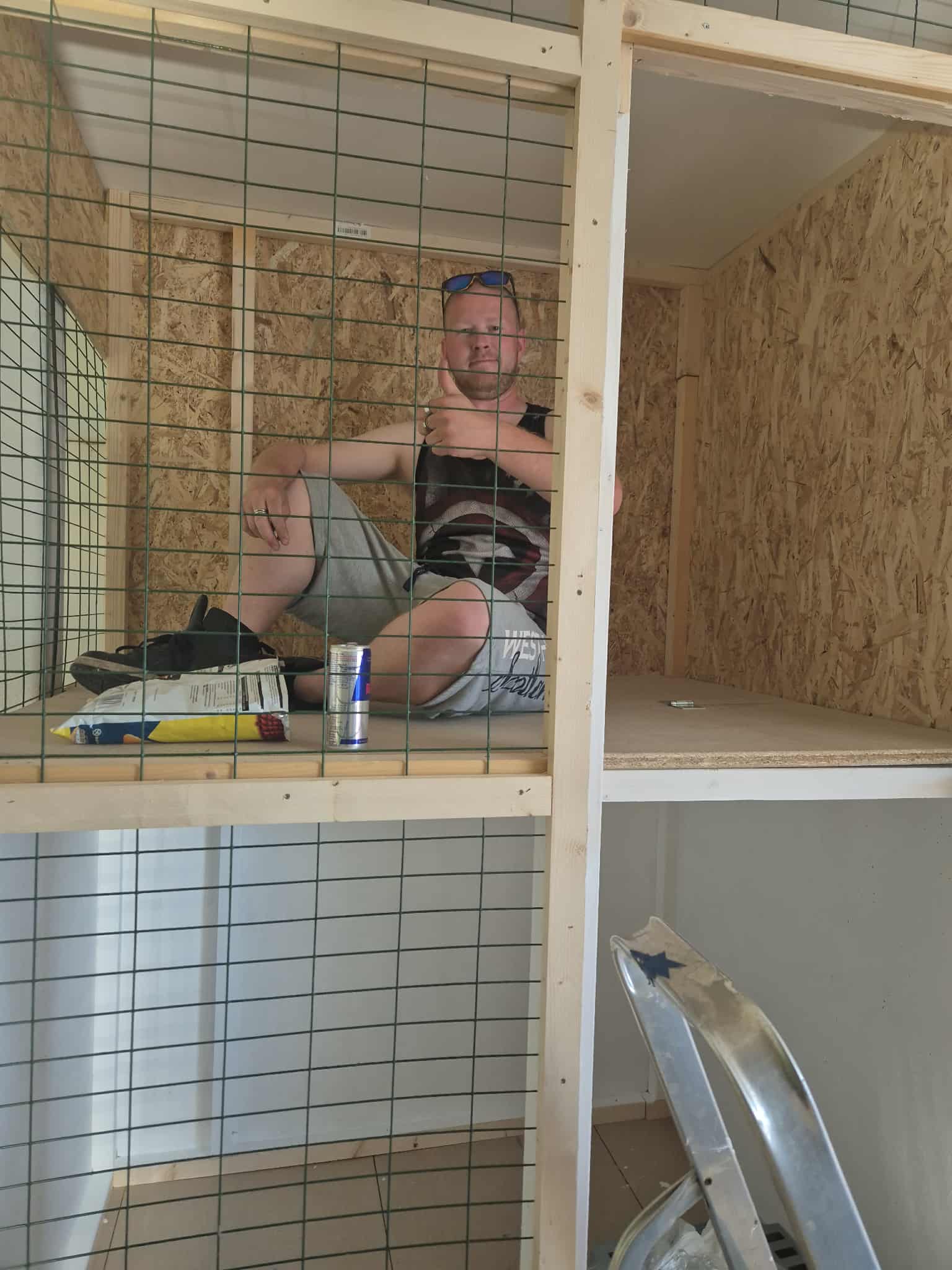 Omplasseringshjelpen for katter's image