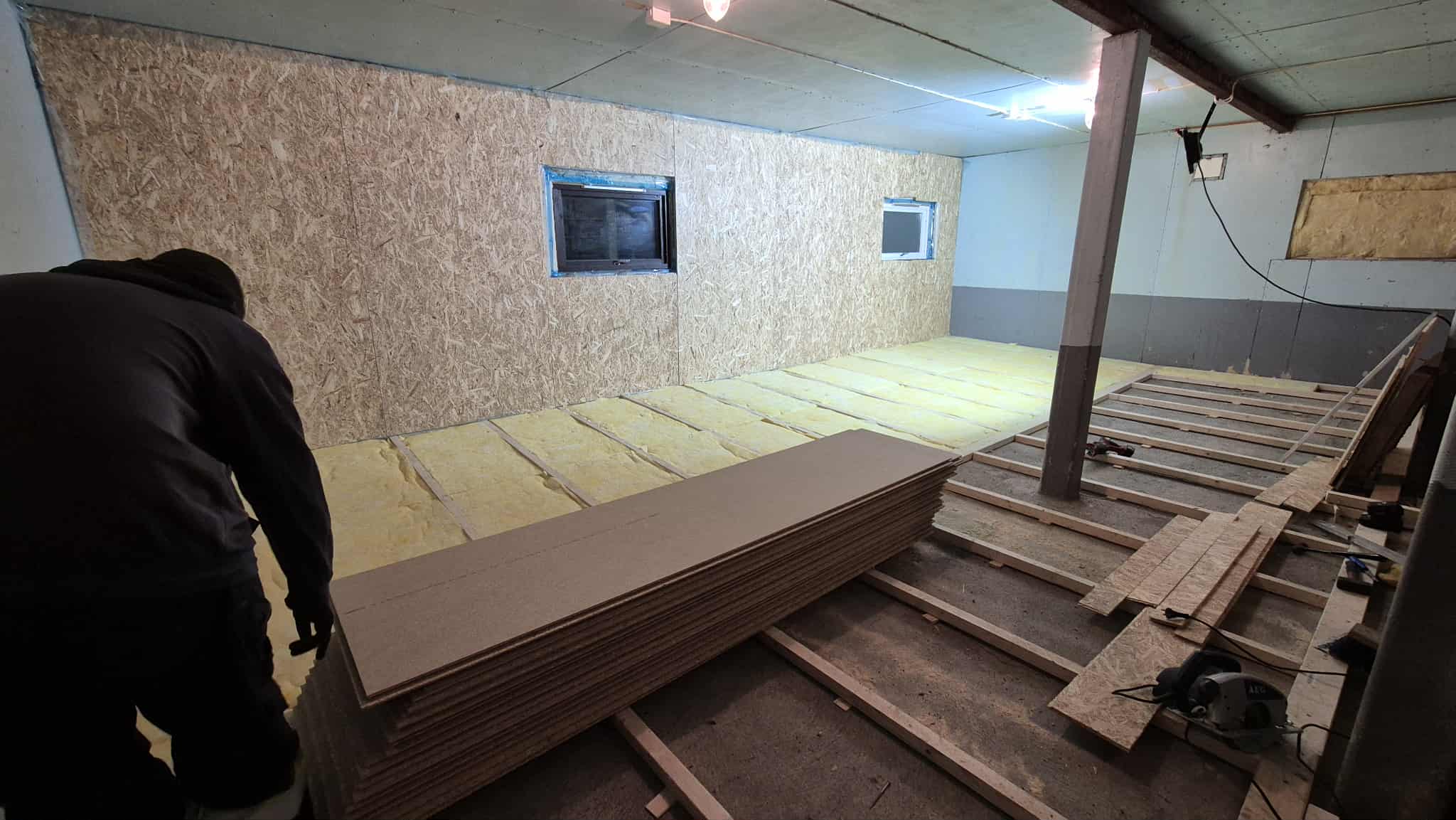 Omplasseringshjelpen for katter's image