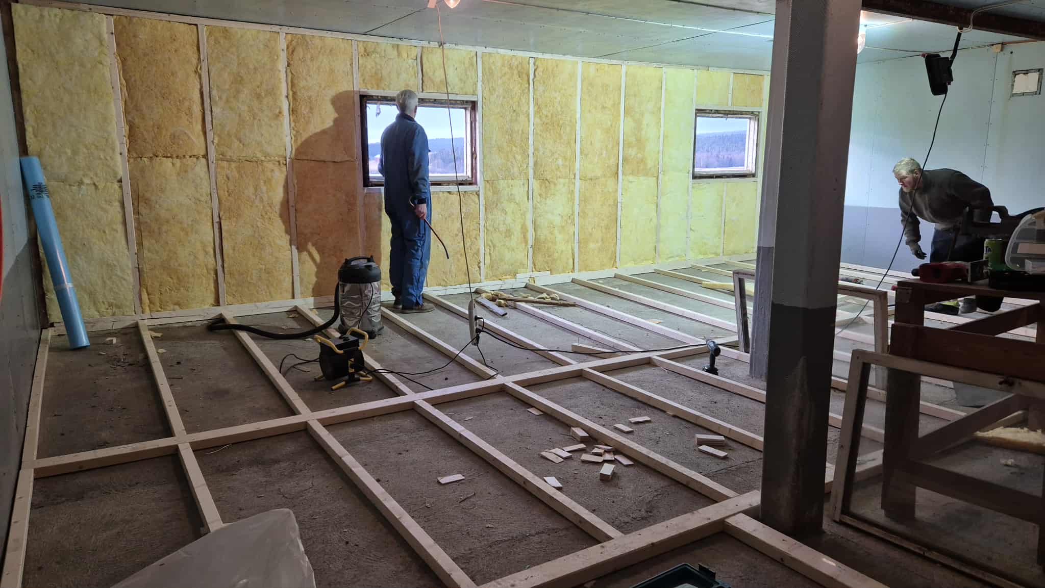 Omplasseringshjelpen for katter's image