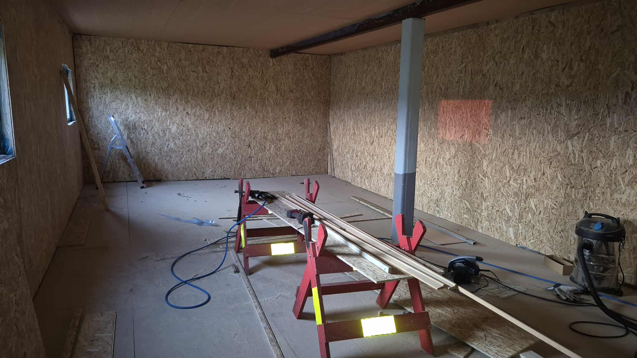 Omplasseringshjelpen for katter's image