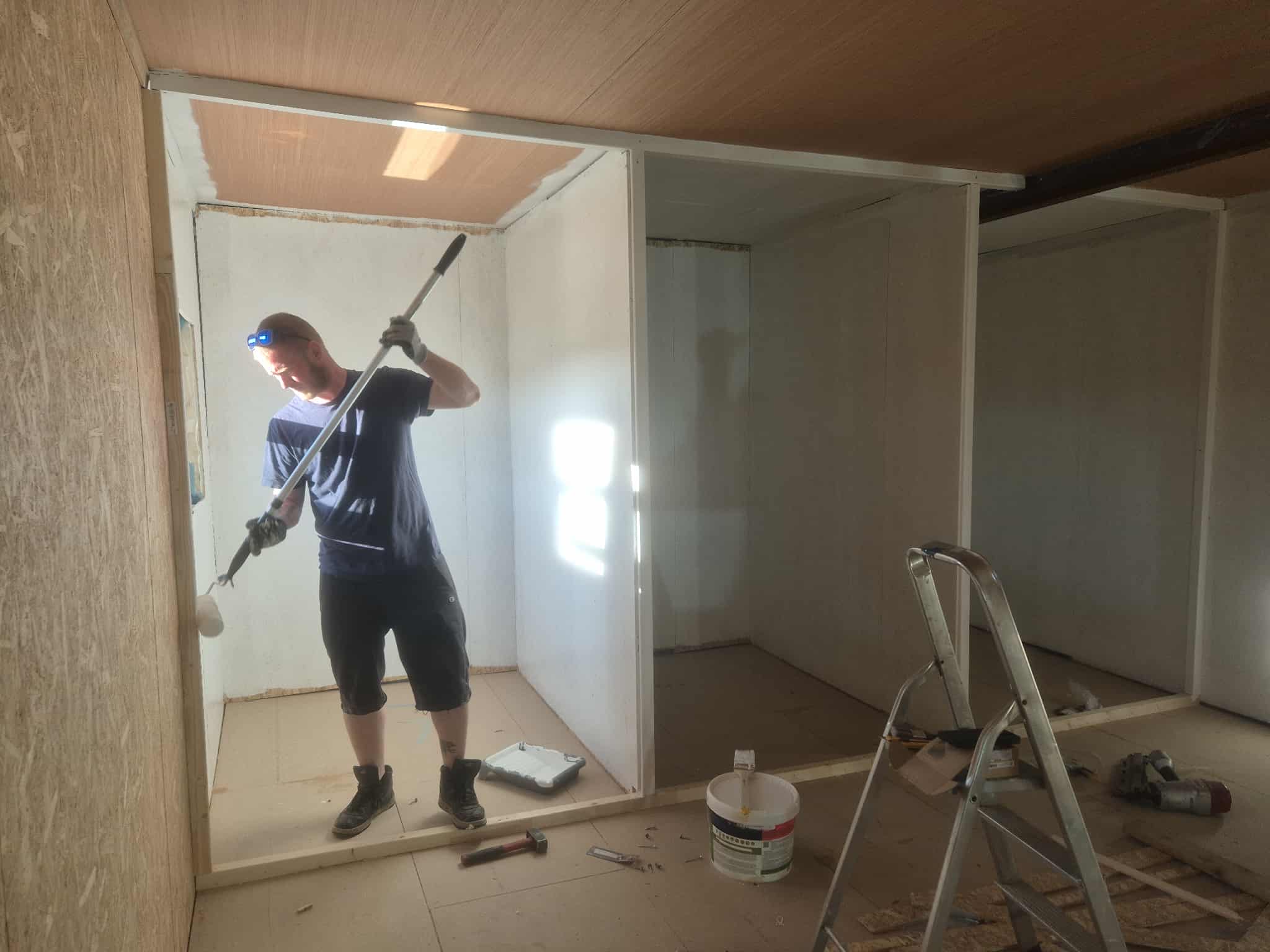 Omplasseringshjelpen for katter's image