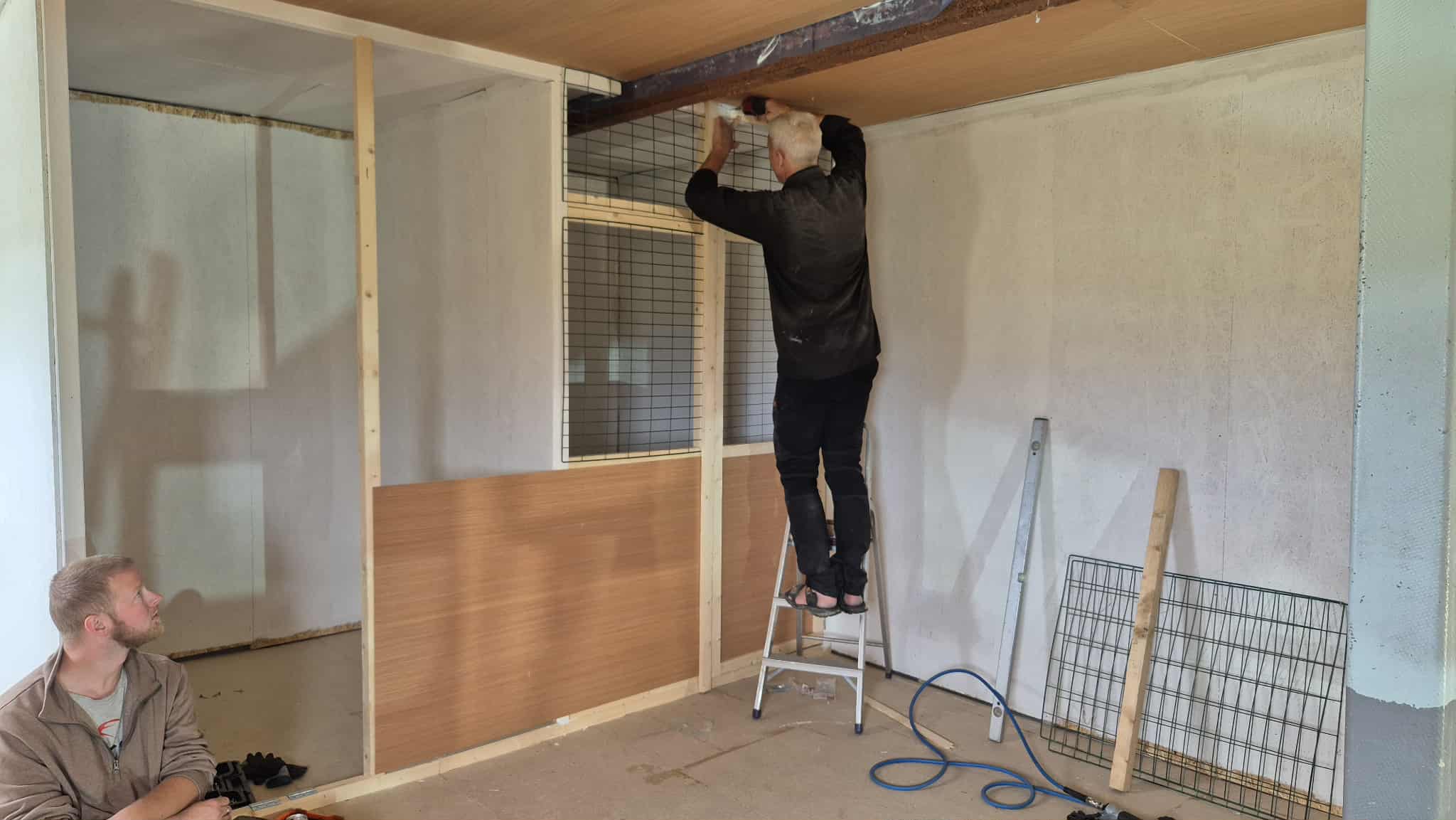 Omplasseringshjelpen for katter's image