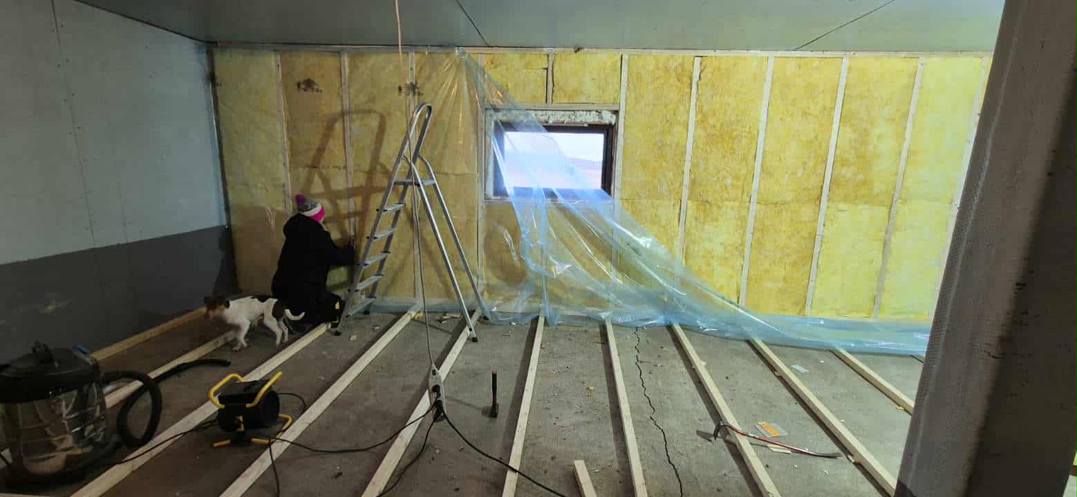 Omplasseringshjelpen for katter's image