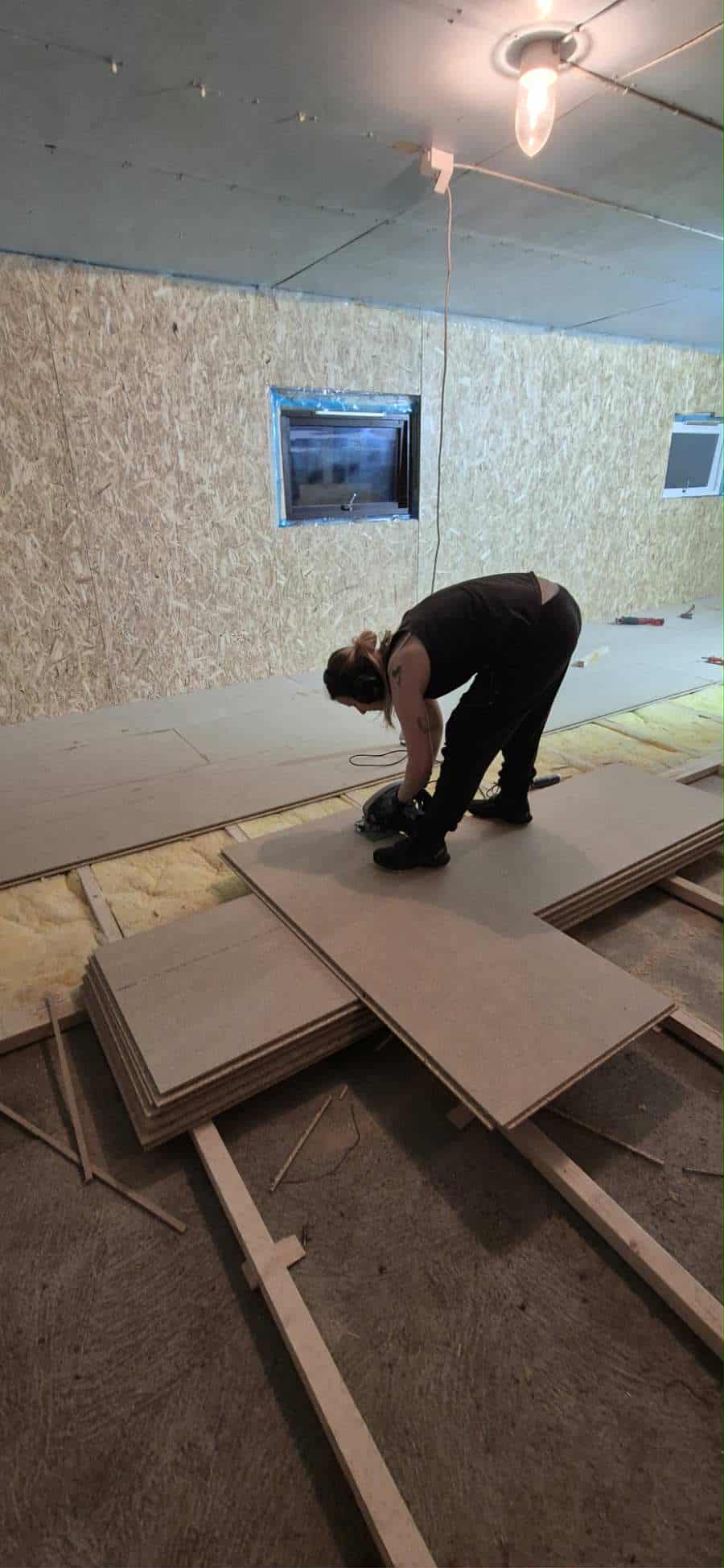 Omplasseringshjelpen for katter's image