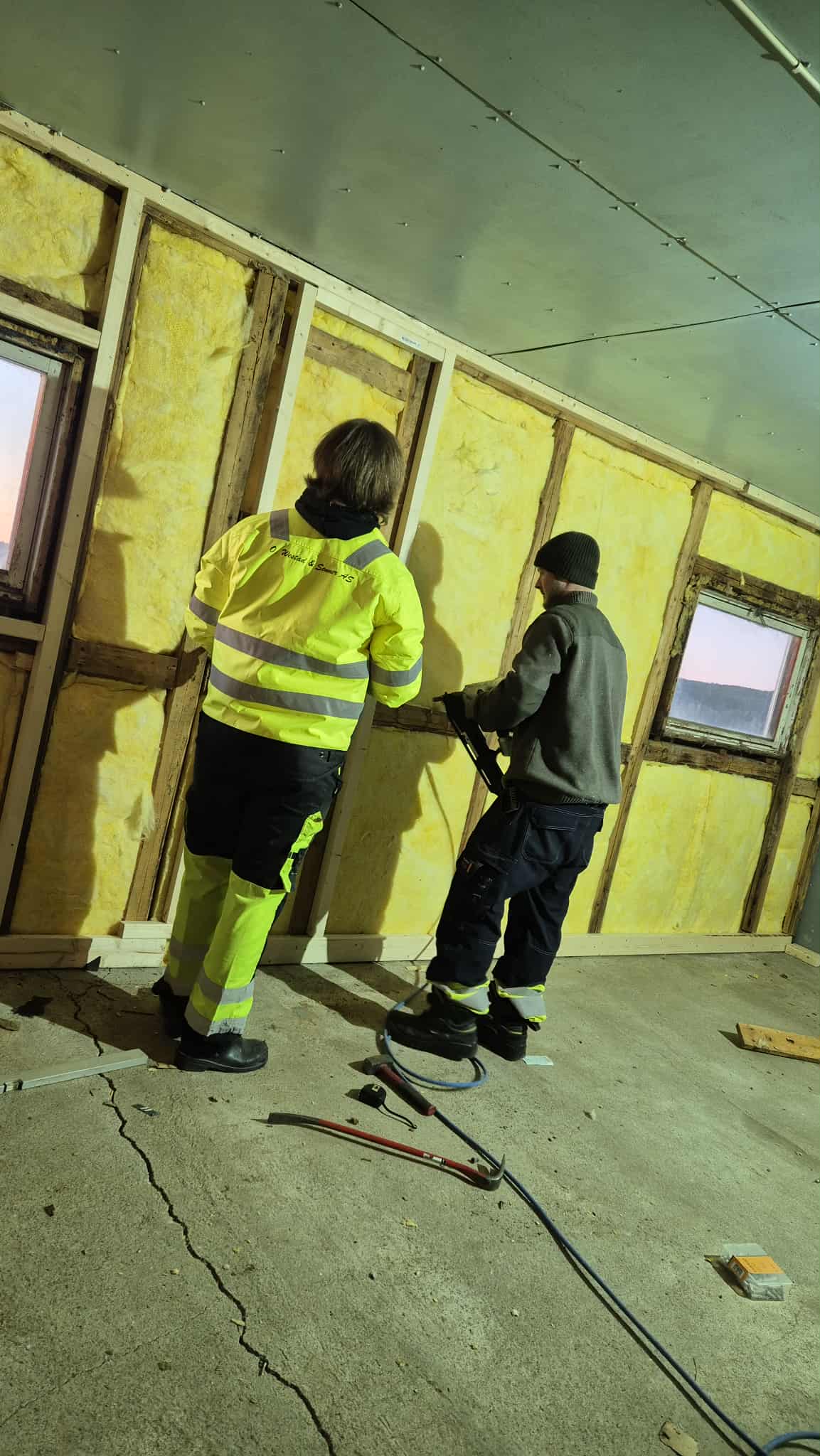 Omplasseringshjelpen for katter's image