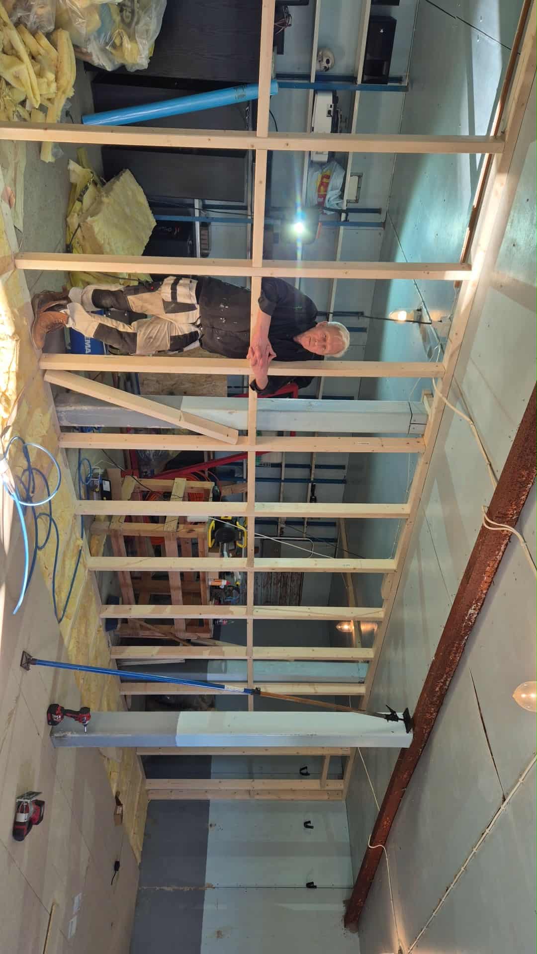 Omplasseringshjelpen for katter's image