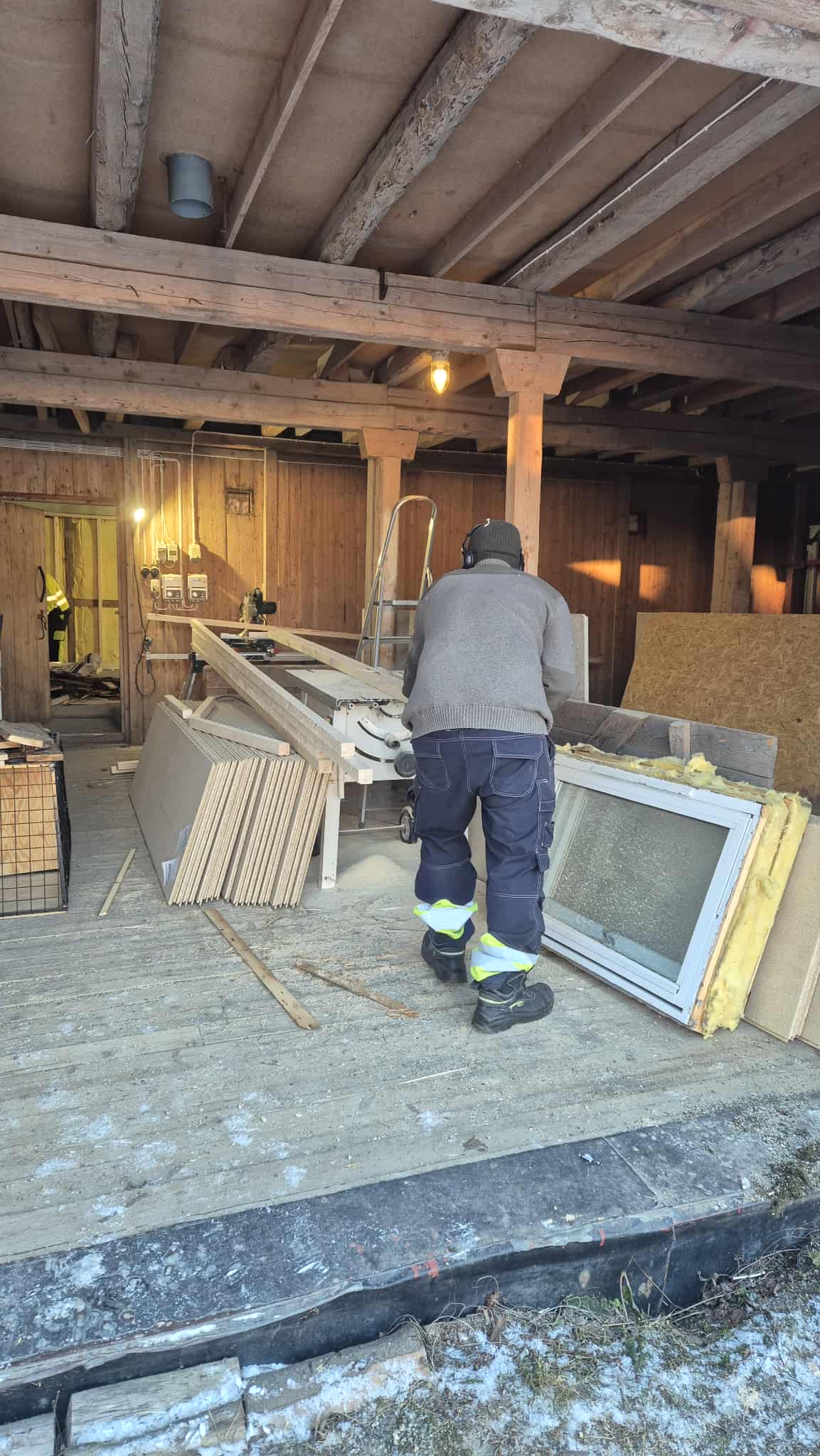 Omplasseringshjelpen for katter's image