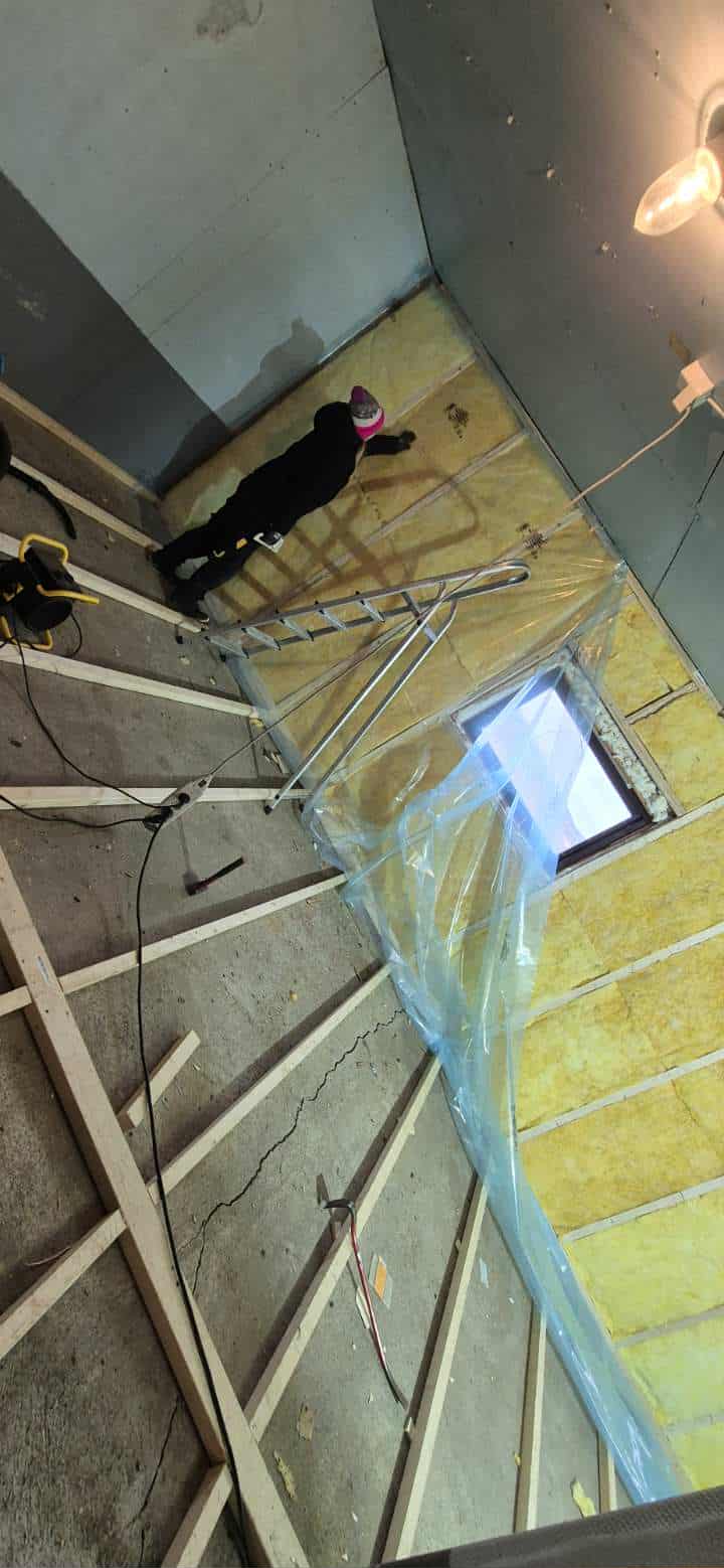 Omplasseringshjelpen for katter's image