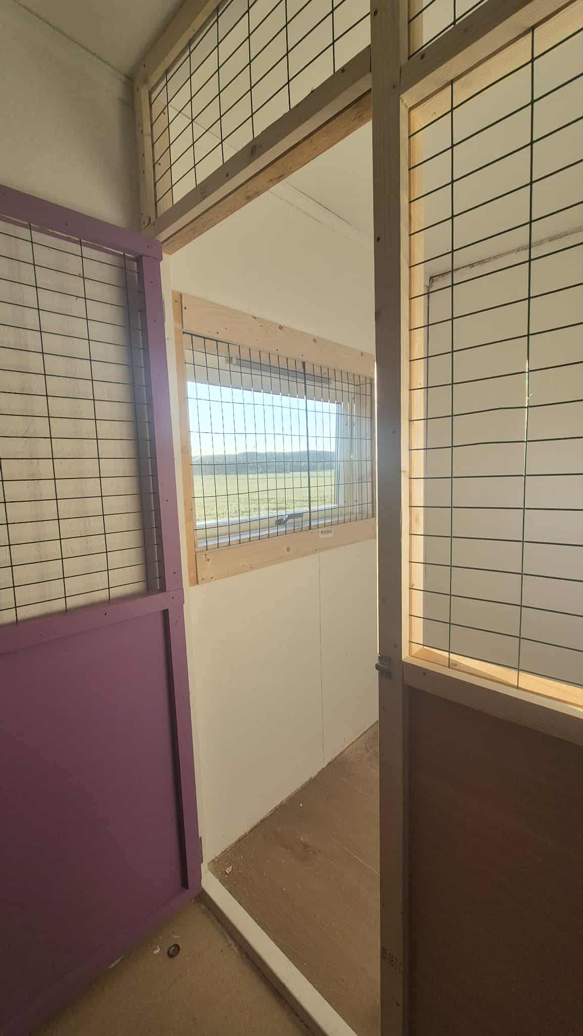 Omplasseringshjelpen for katter's image