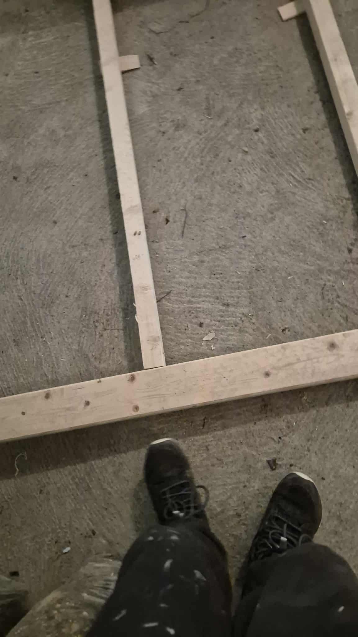 Omplasseringshjelpen for katter's image