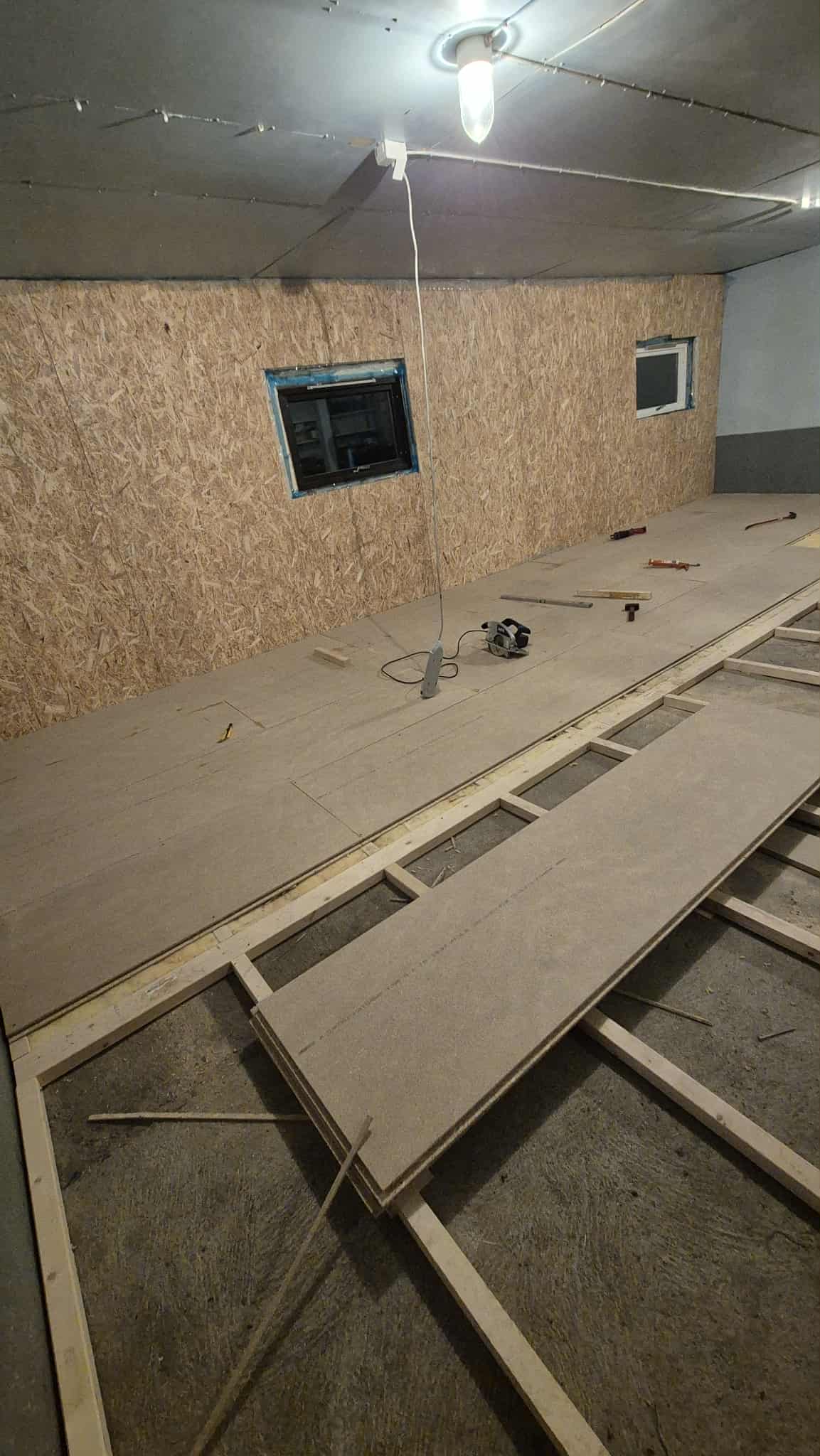 Omplasseringshjelpen for katter's image