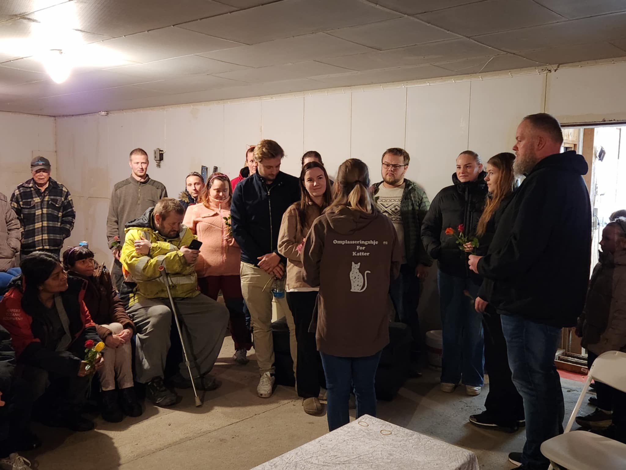 Omplasseringshjelpen for katter's image