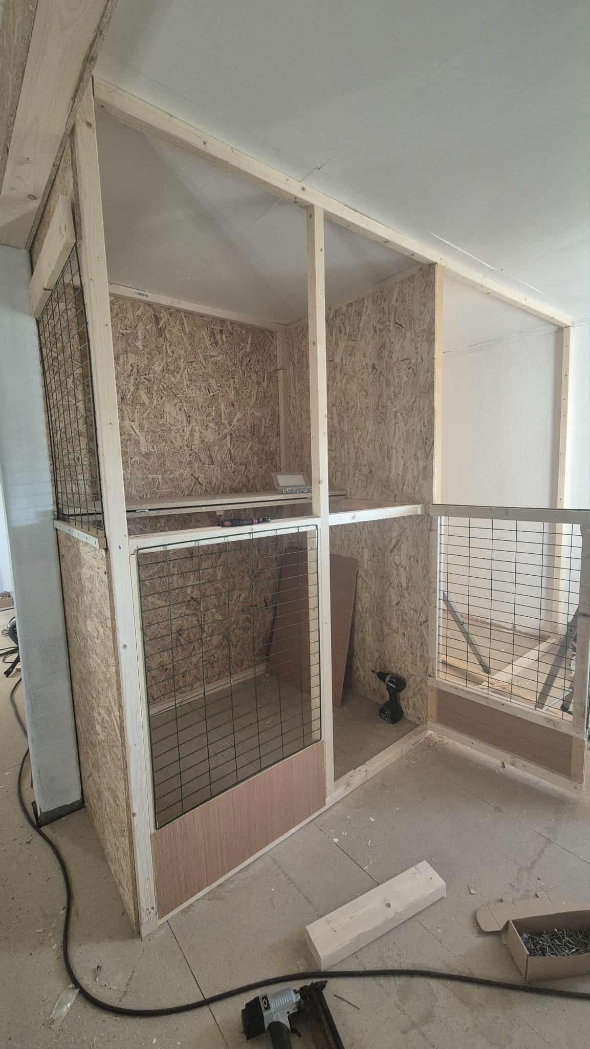 Omplasseringshjelpen for katter's image