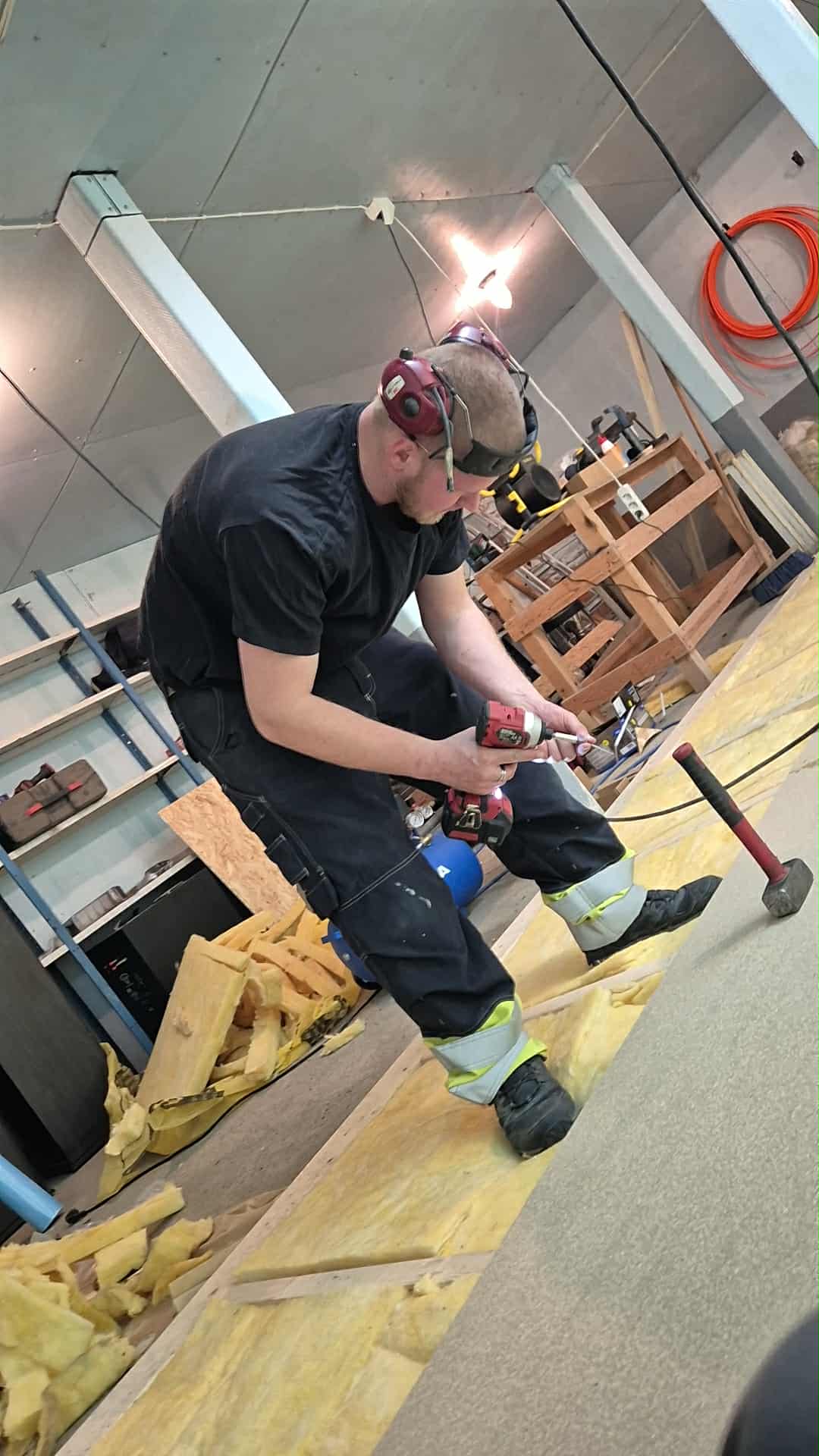 Omplasseringshjelpen for katter's image