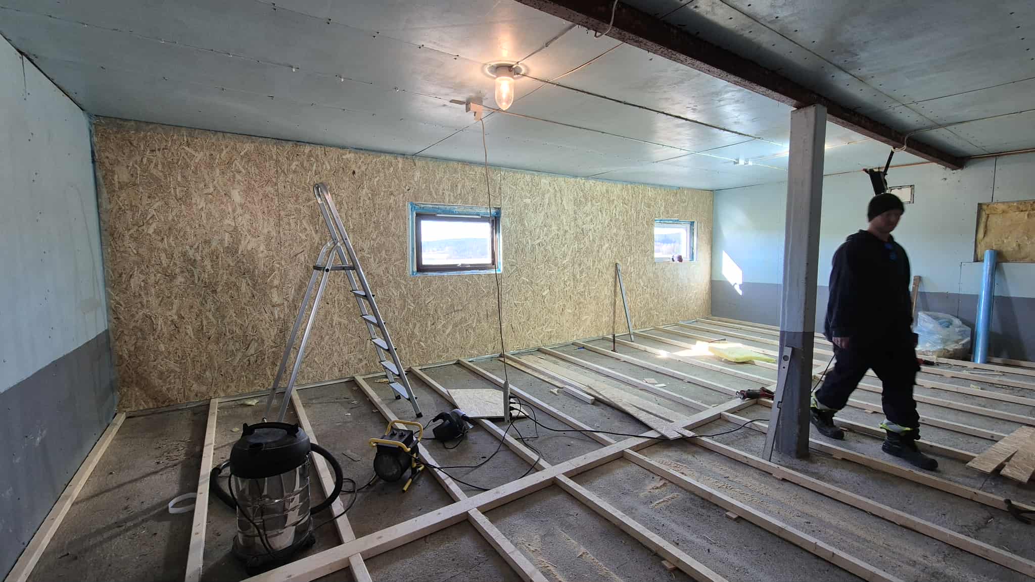 Omplasseringshjelpen for katter's image