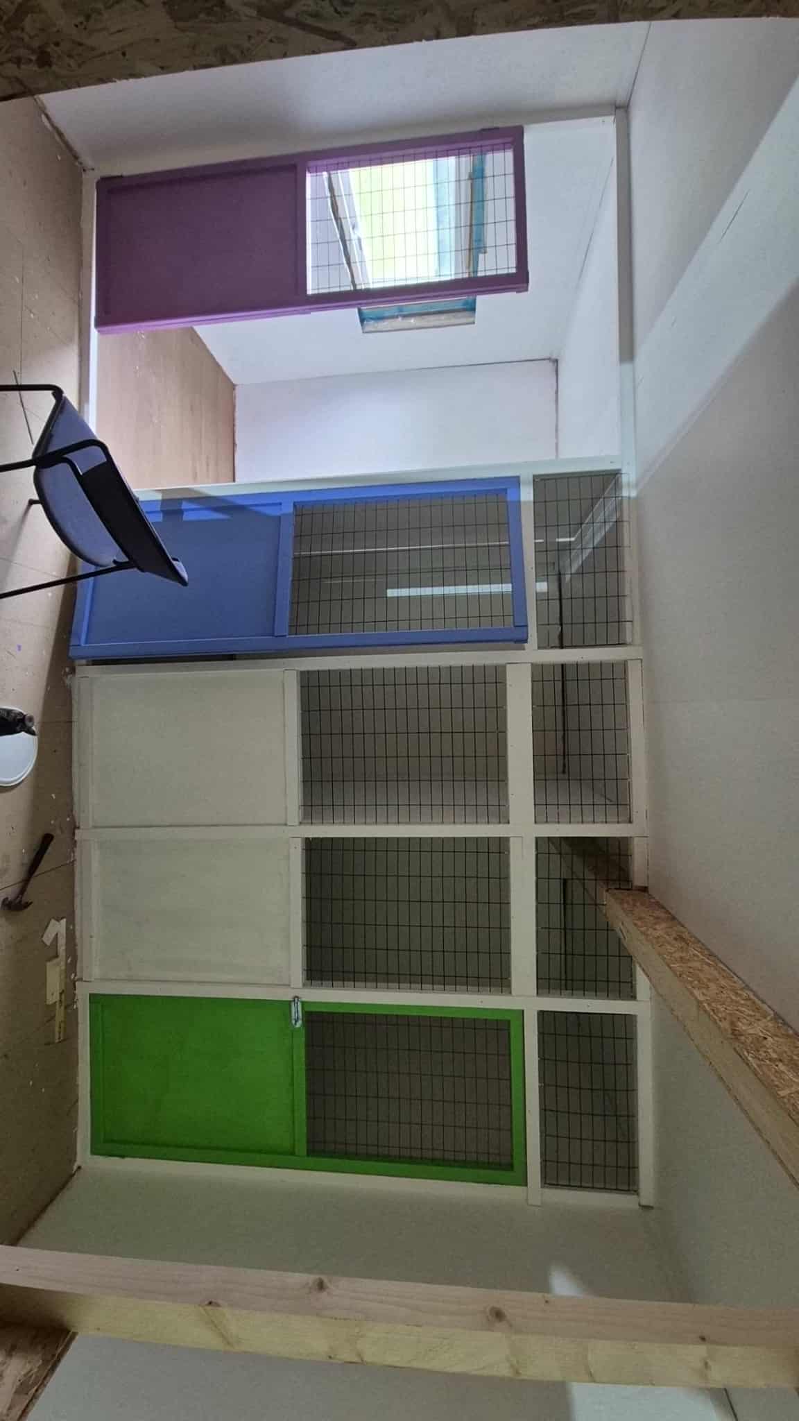 Omplasseringshjelpen for katter's image