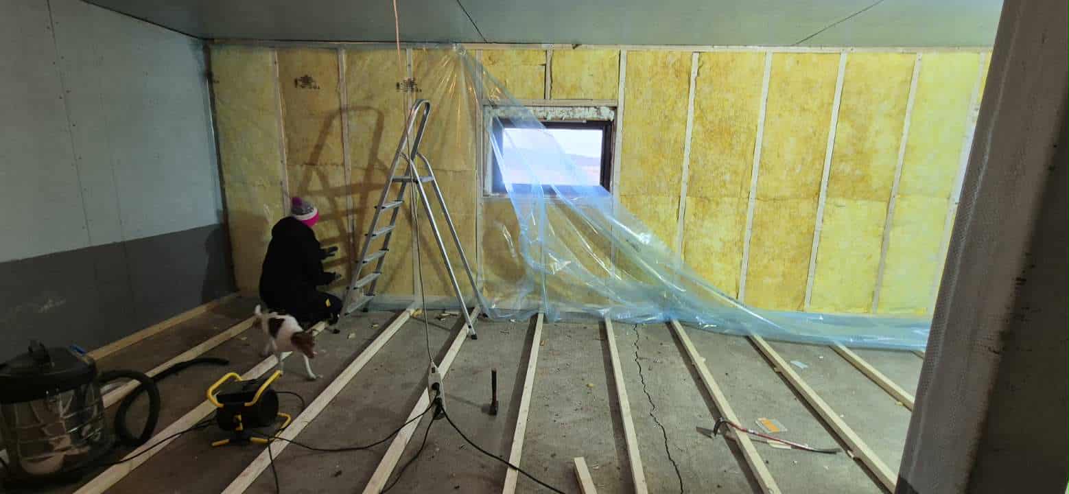 Omplasseringshjelpen for katter's image