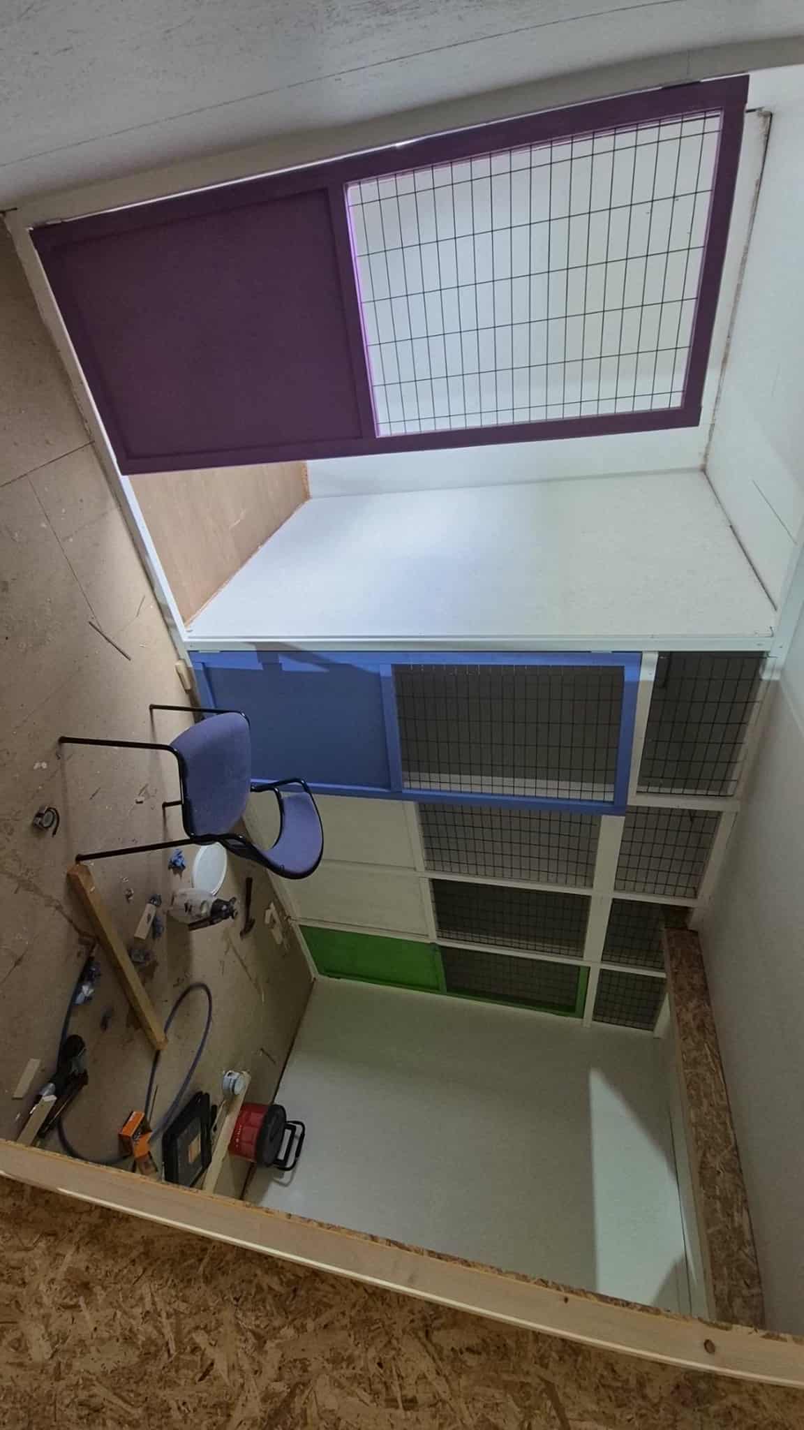 Omplasseringshjelpen for katter's image