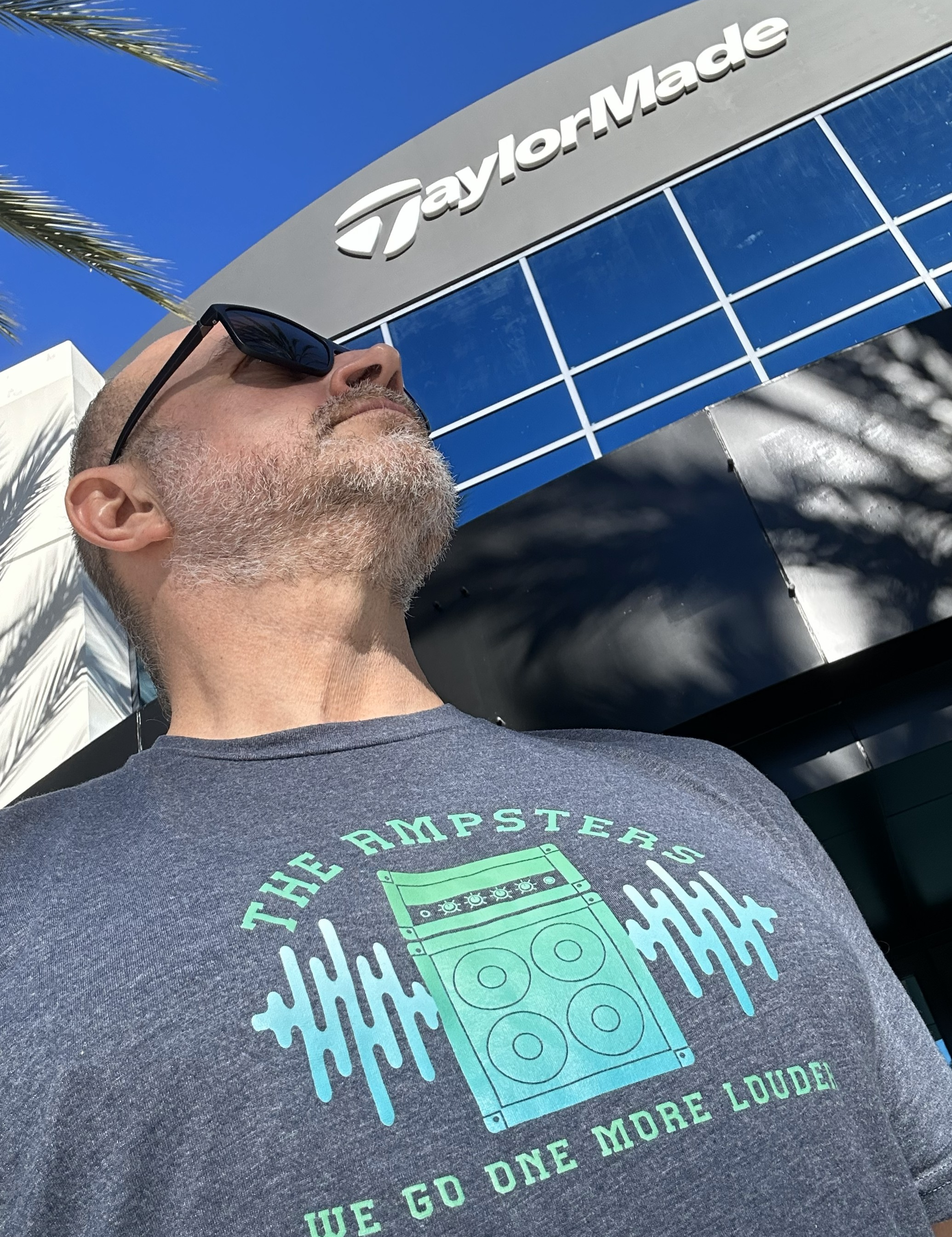 The Ampsters's image