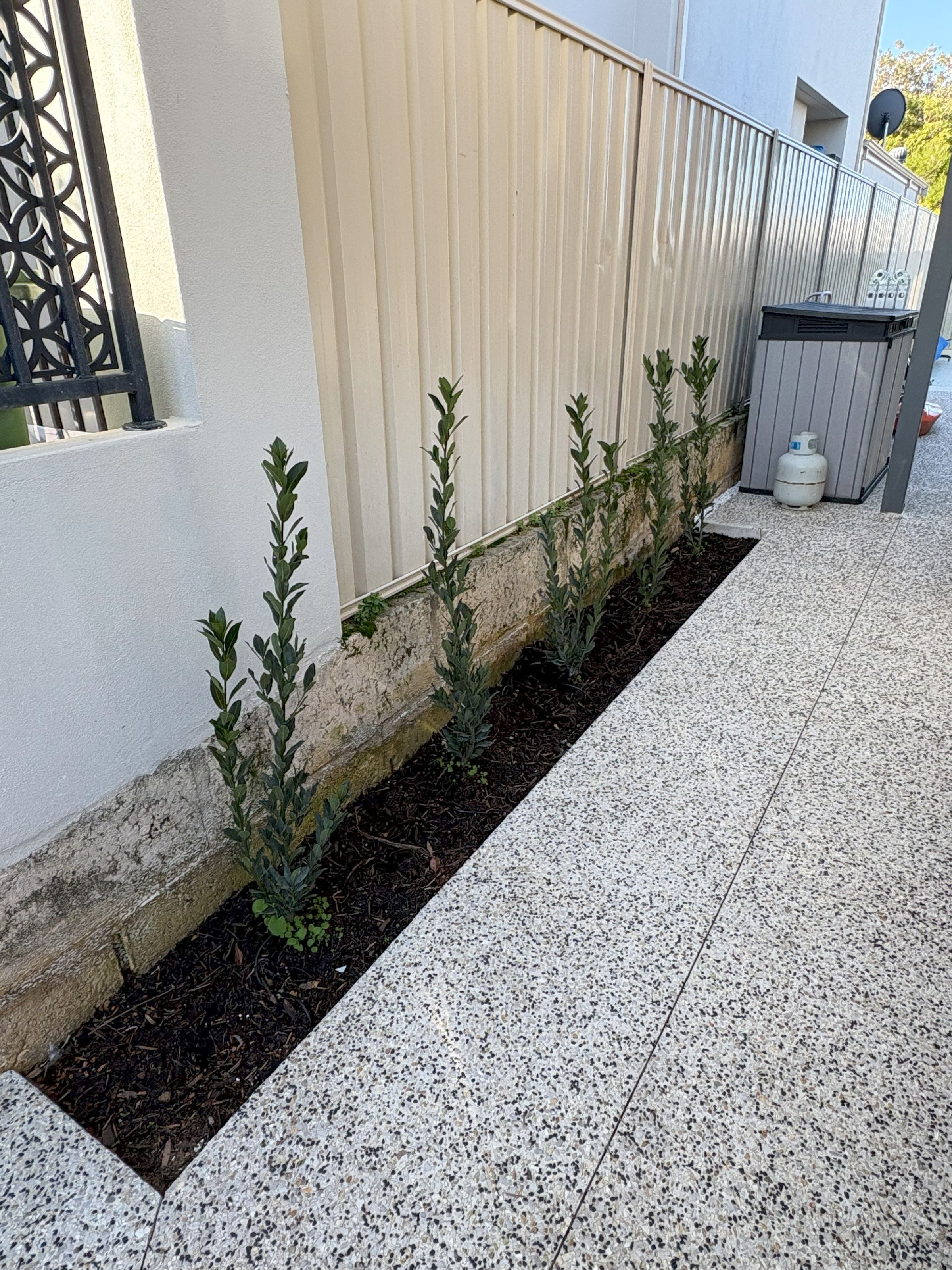 Reticulation & Landscaping in Melville WA by SMC's image