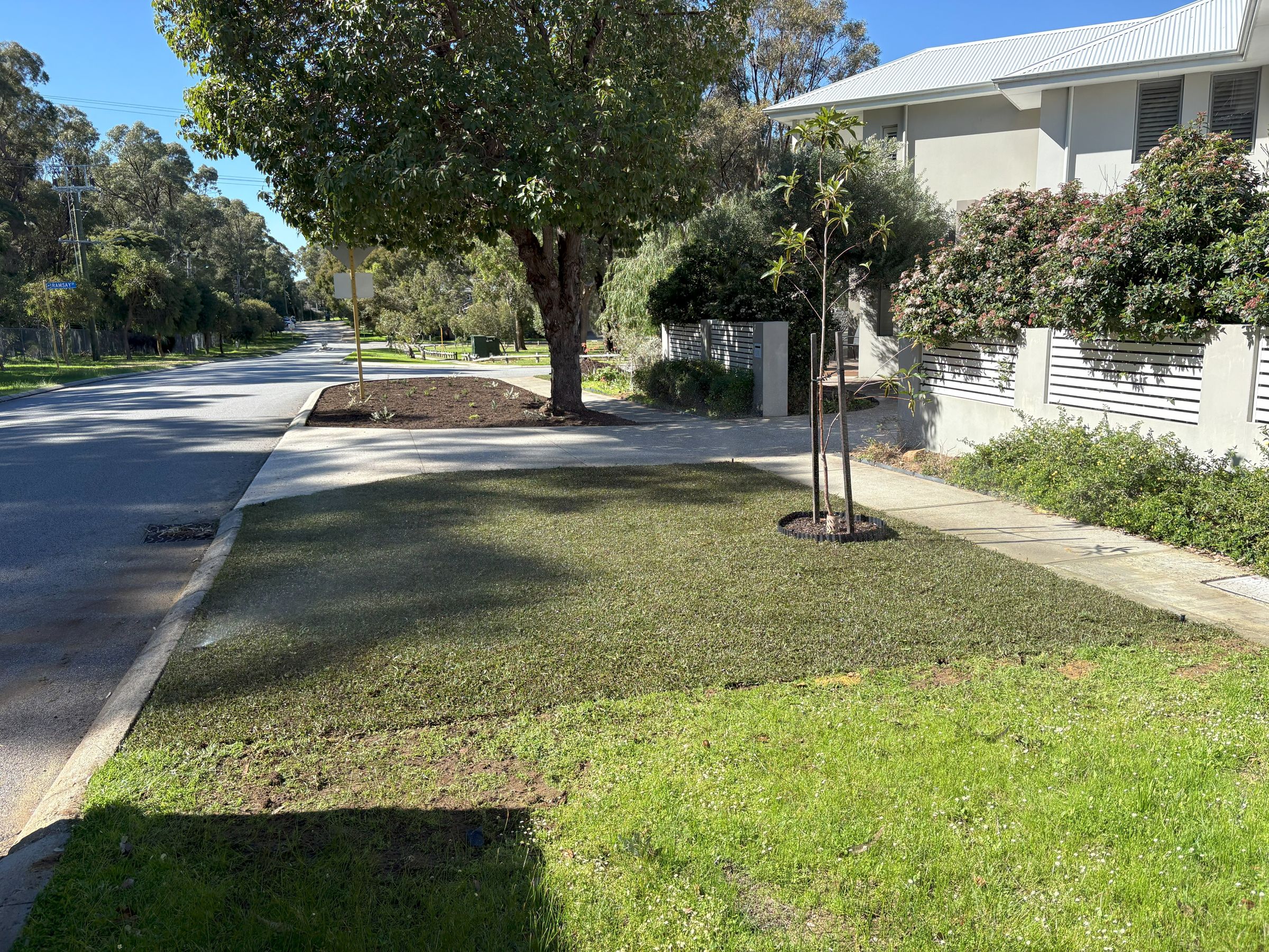Front Verge