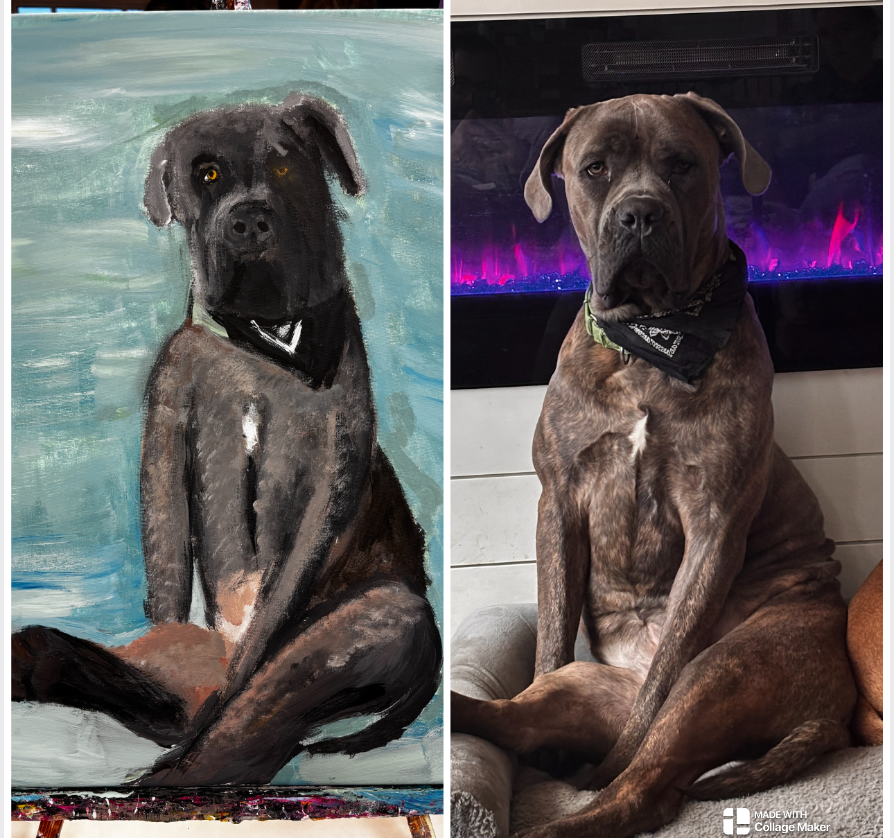 Murphy (full portrait)