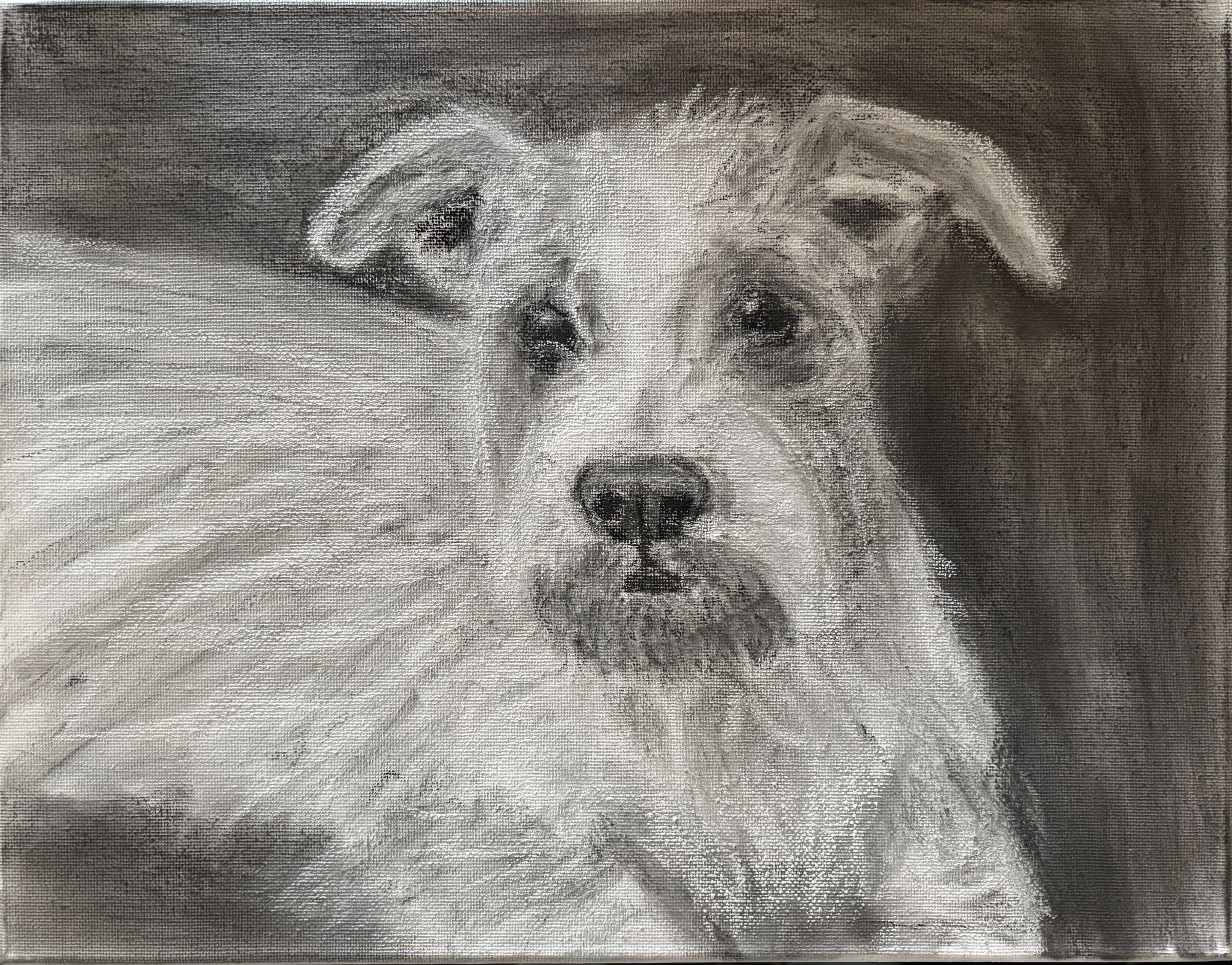 Terrier