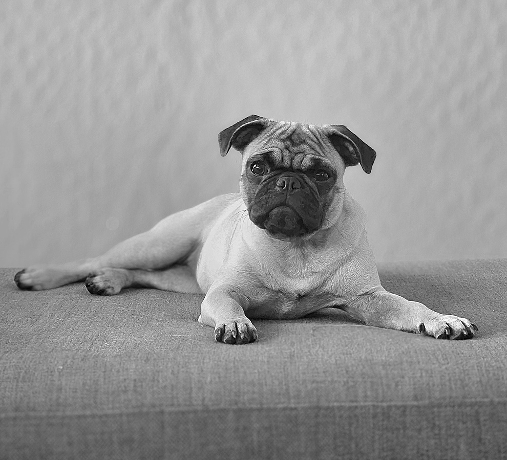 ADU | Residential | Commercial Building Designer's image