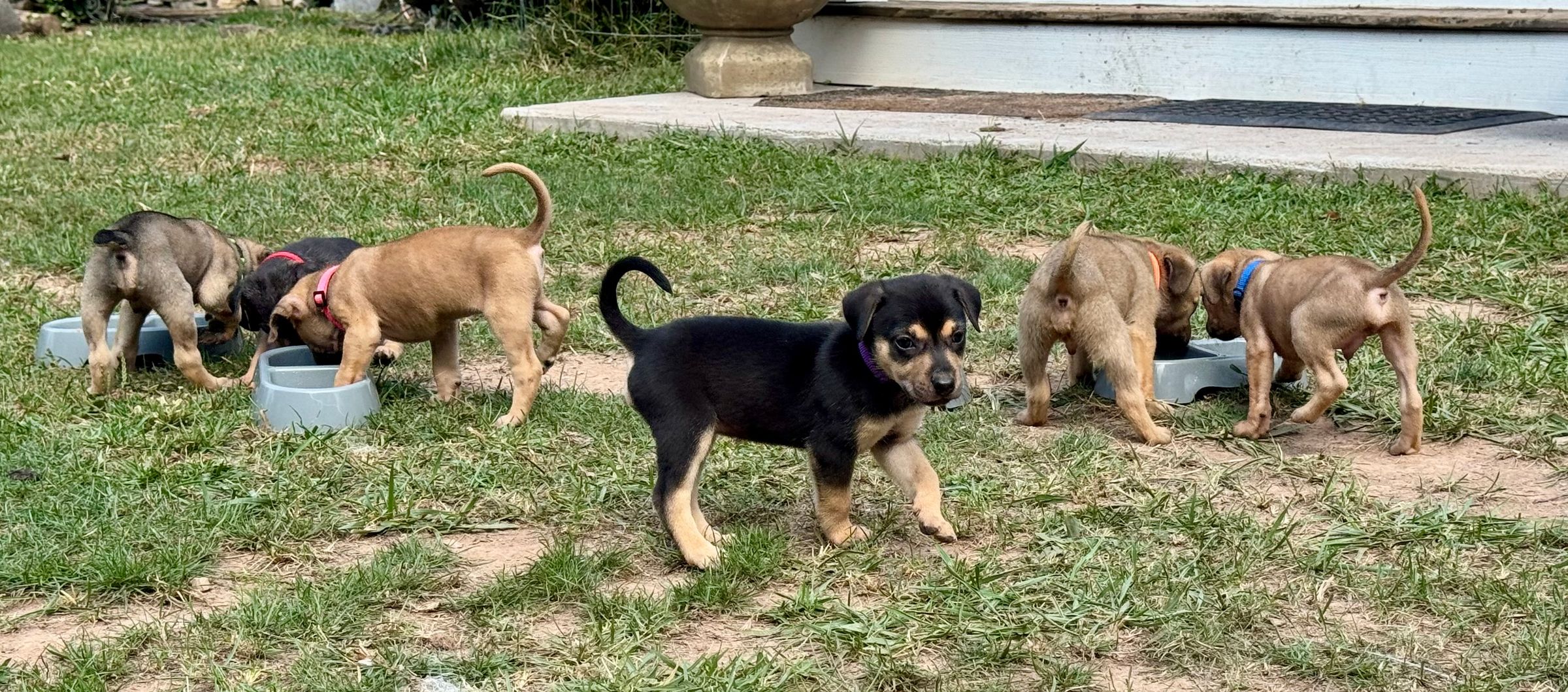 HARVEST HILLS HOMESTEAD VA's image