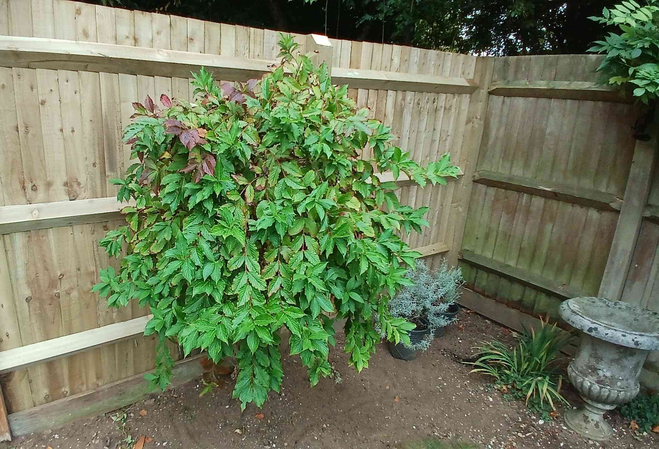 Jay's Property Maintenance's image