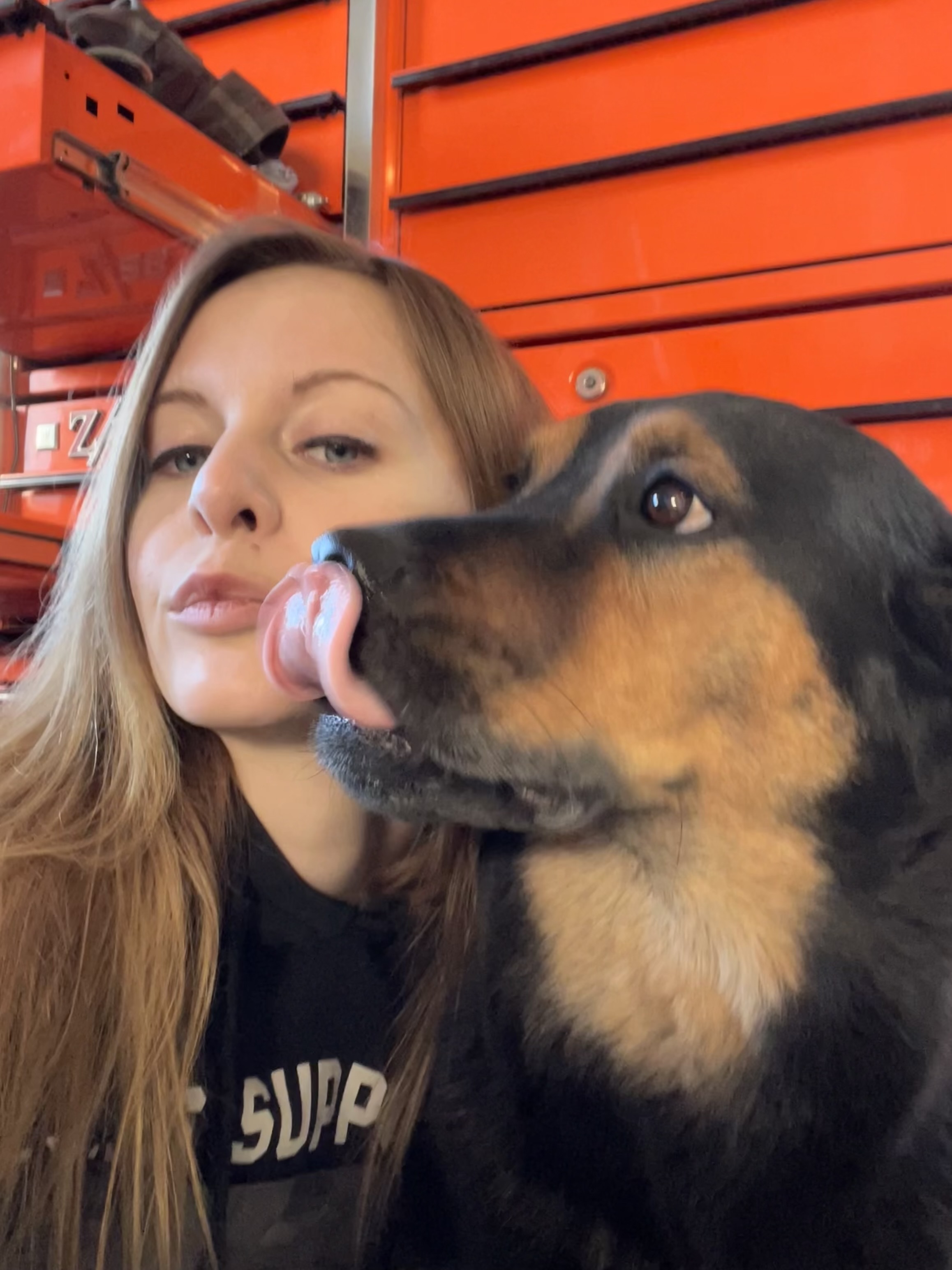 Pawsitive Vibes's image