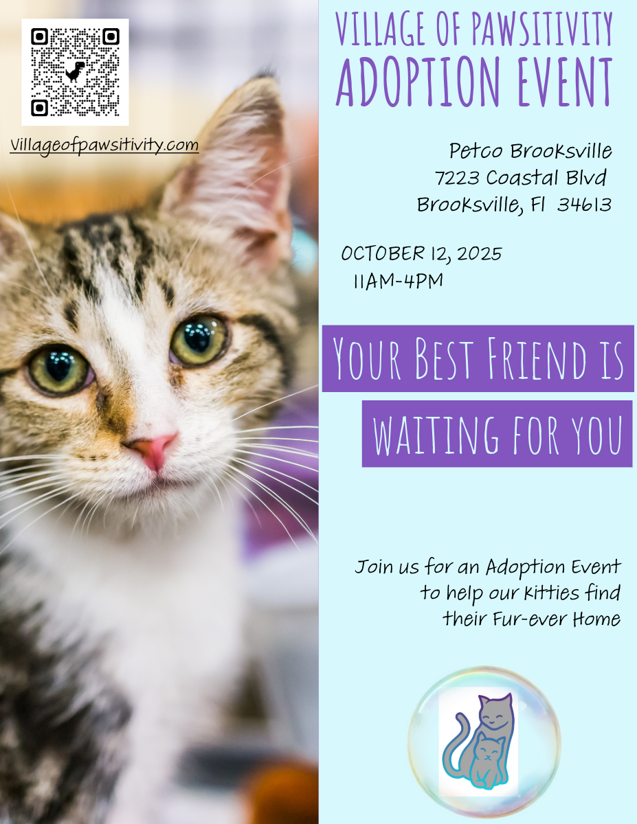 VILLAGE OF PAWSITIVITY's image